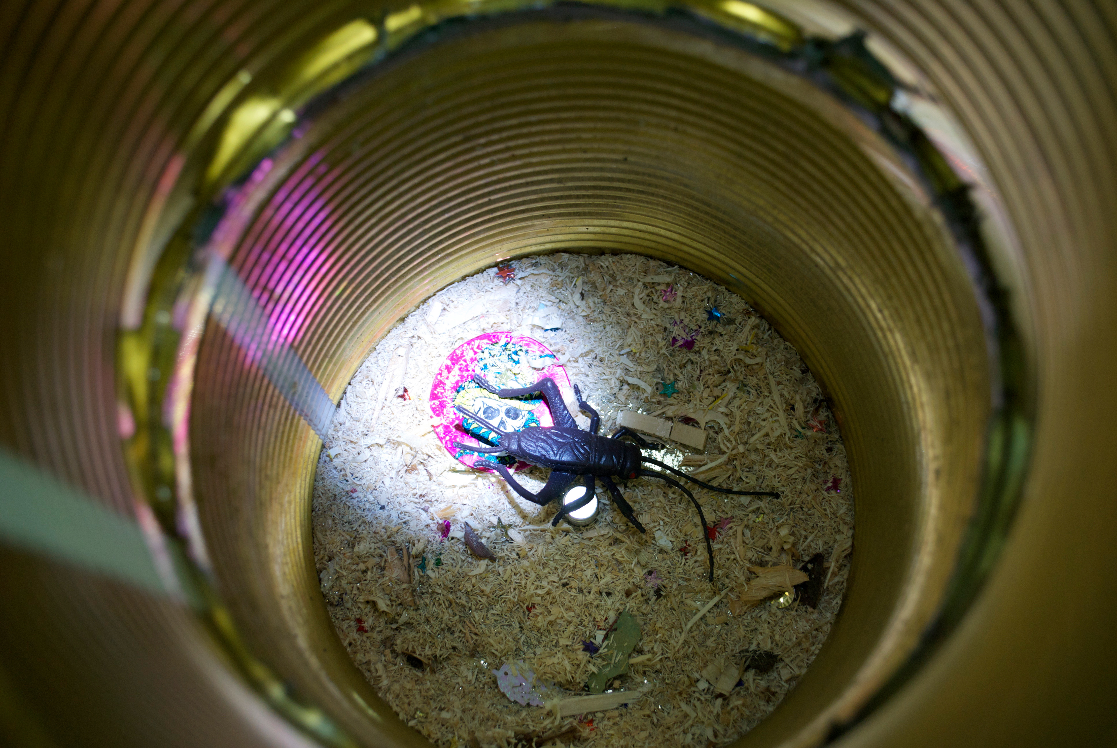 "It was a very good year" found objects, sound and song by William Shatner