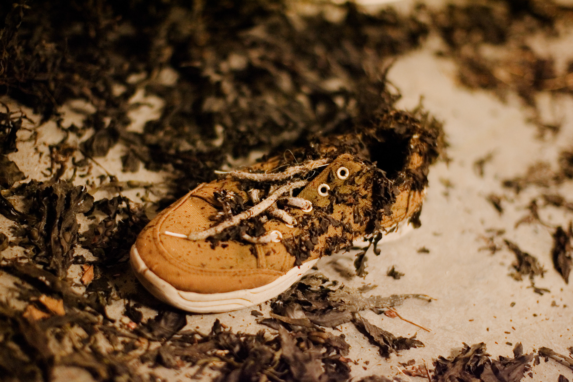 Photo: Nils Kristian Thompson Eikeland