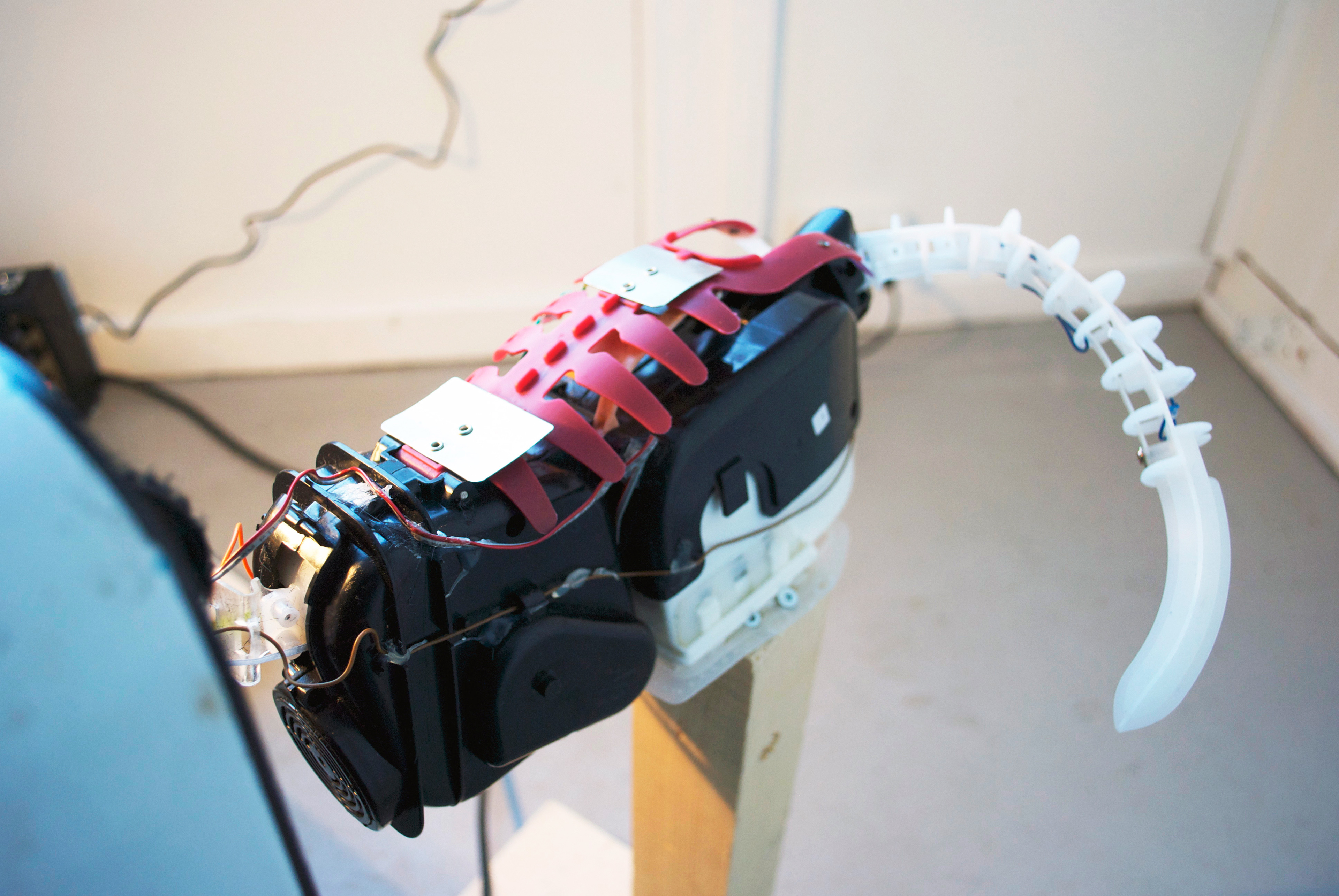 "Dagens Fangst" electronic toy, found objects, sound