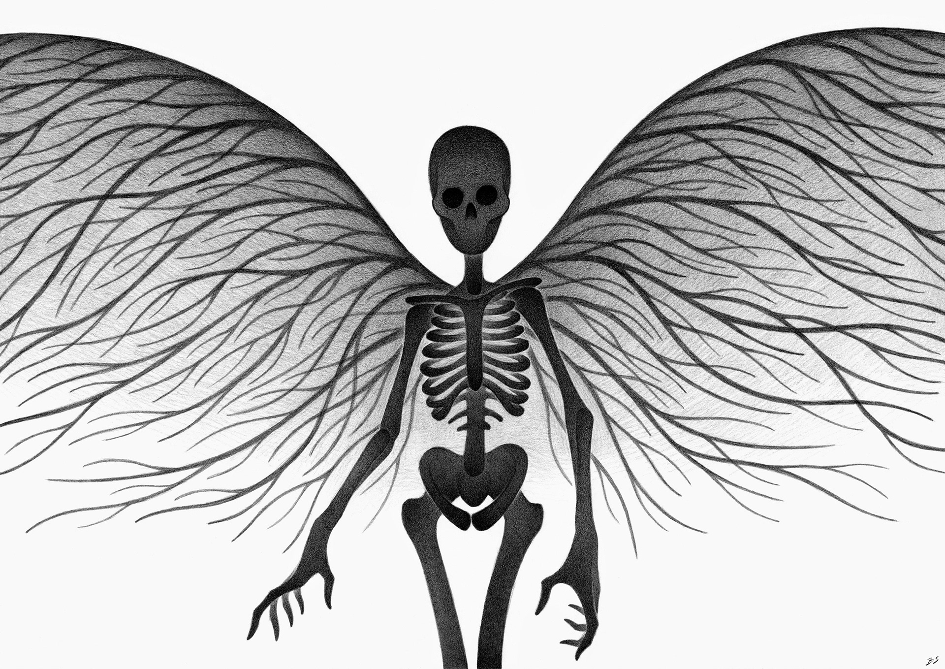 Black butterfly