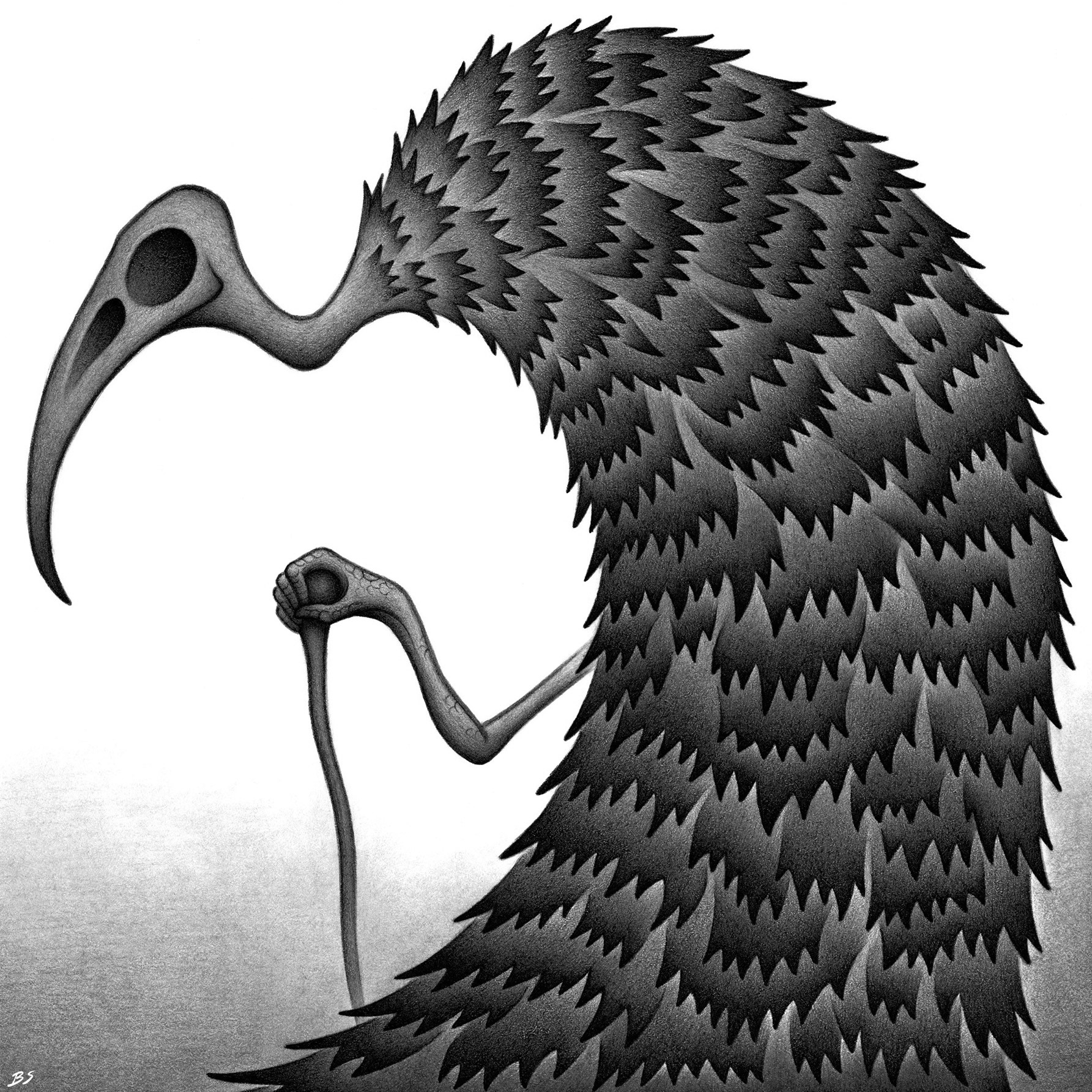 Old vulture