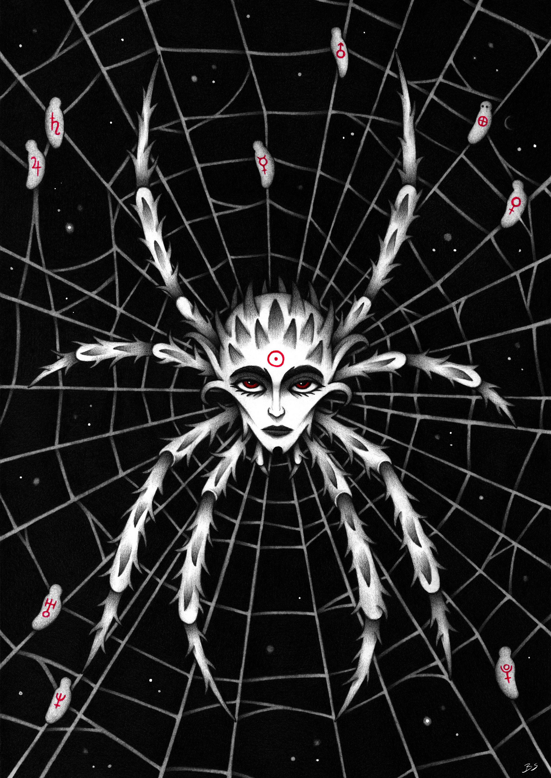 Spider's web