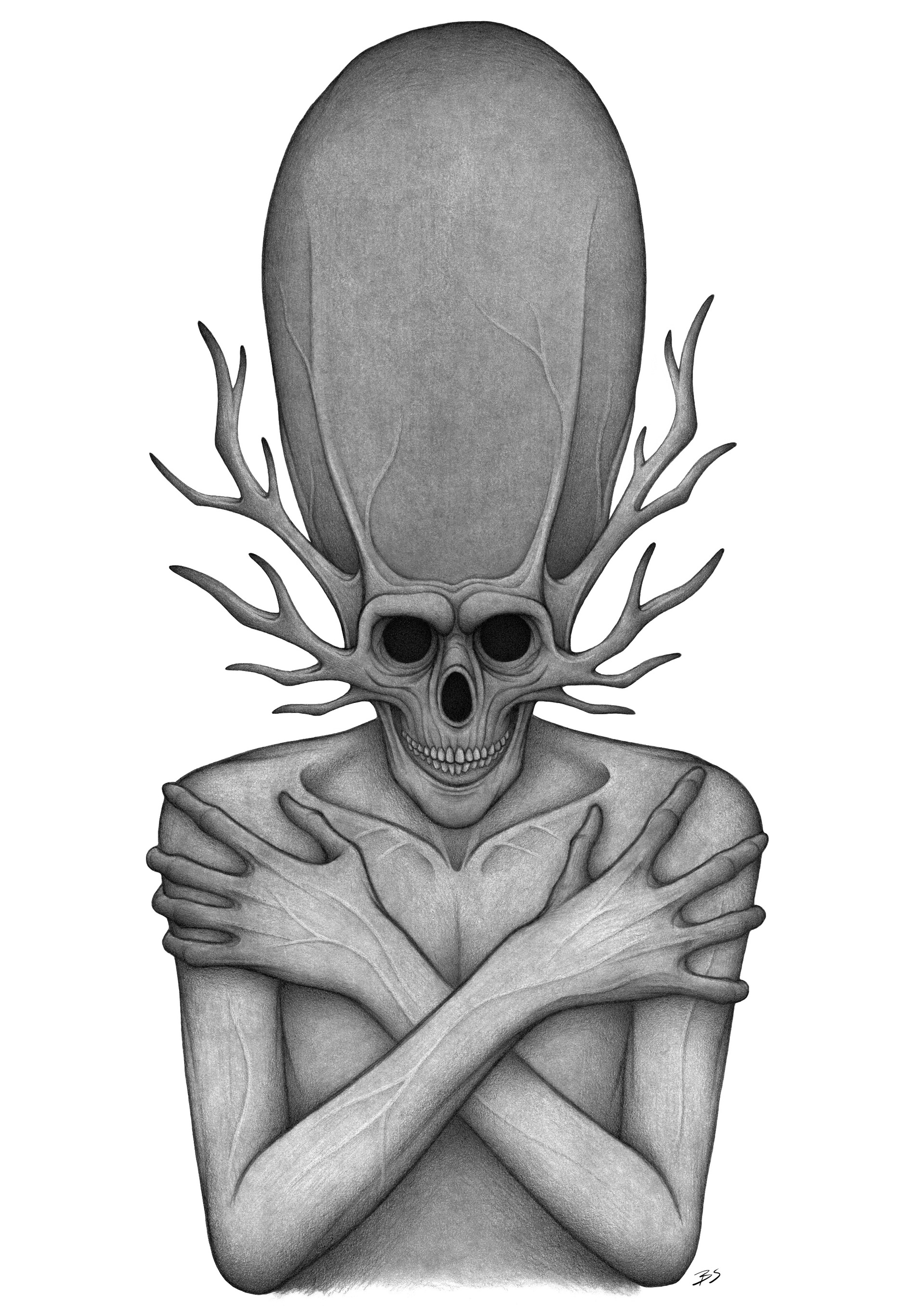 Tick skull
