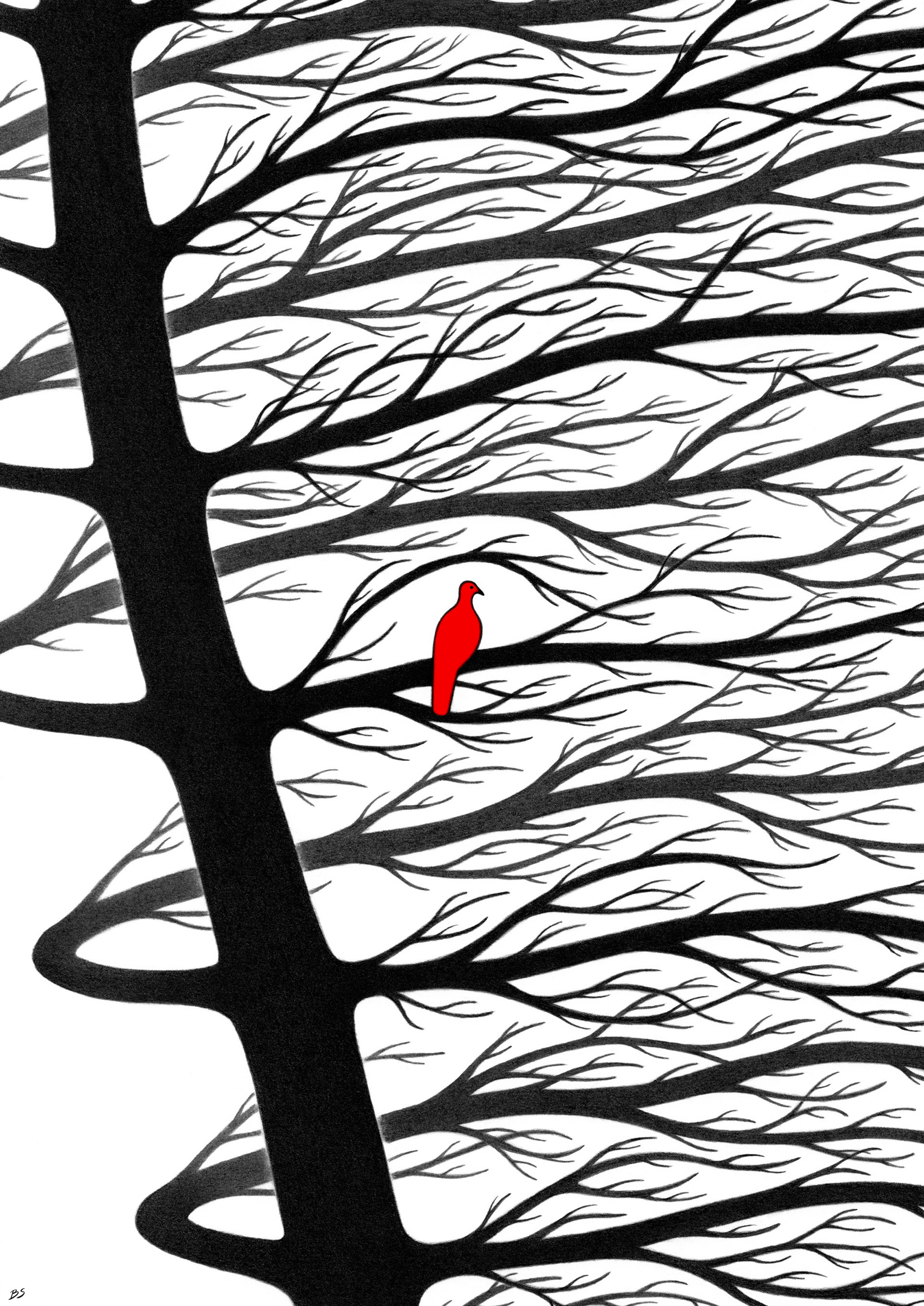 Red dove