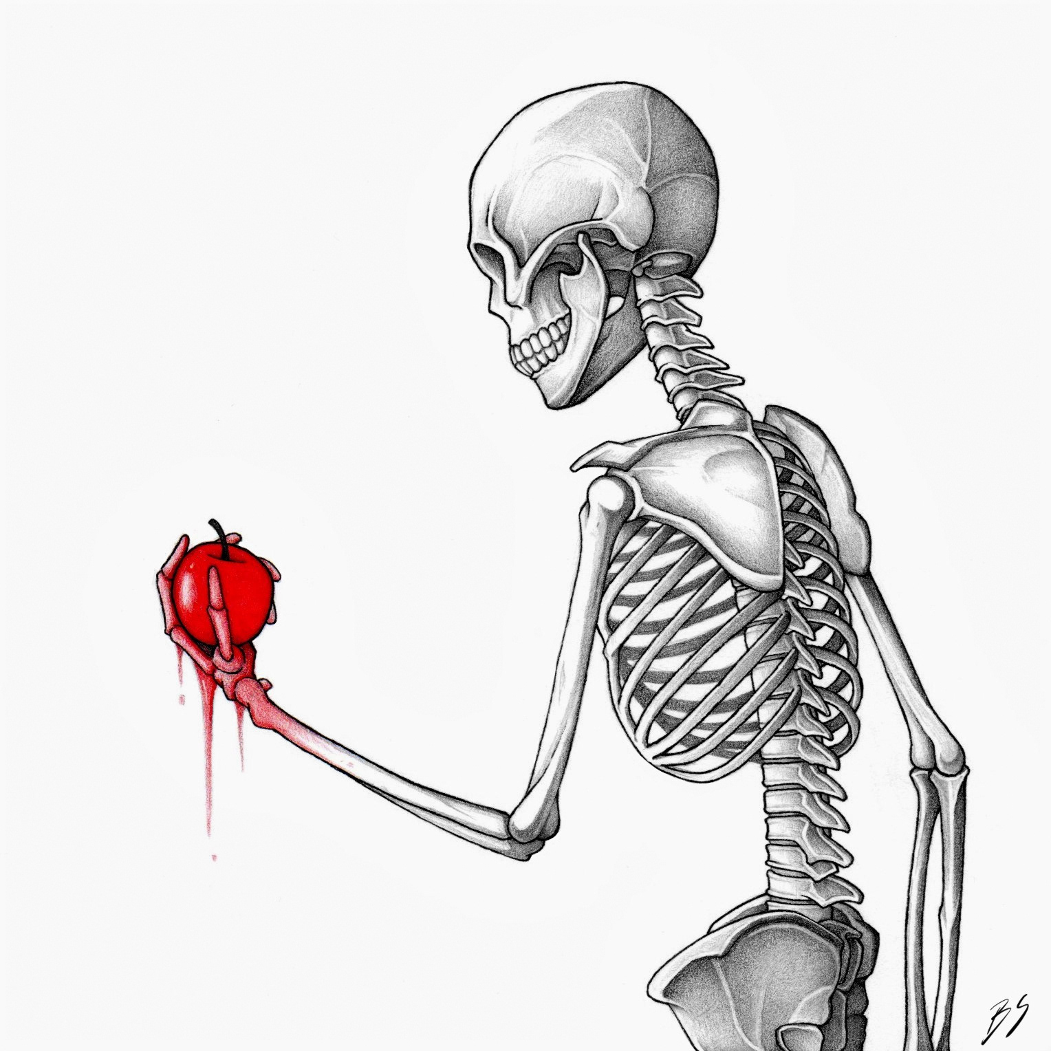 Skeleton and apple