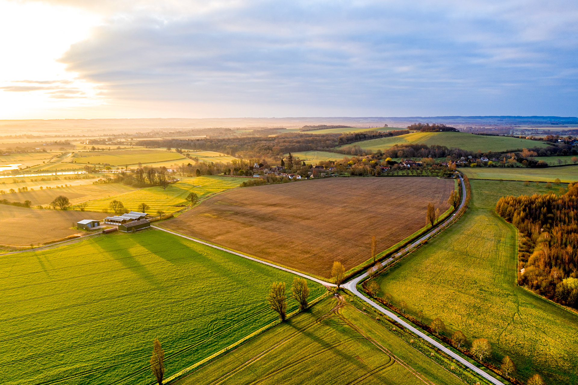 Aerial view of an Oxfordshire treescape