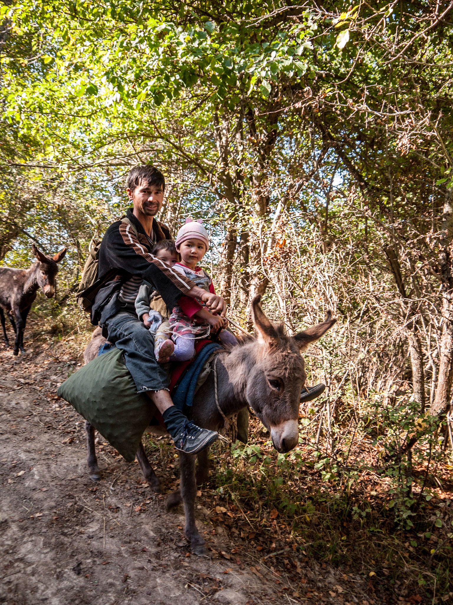 Family collecting walnuts (Juglans regia) by donkey in Kyrgyzstan