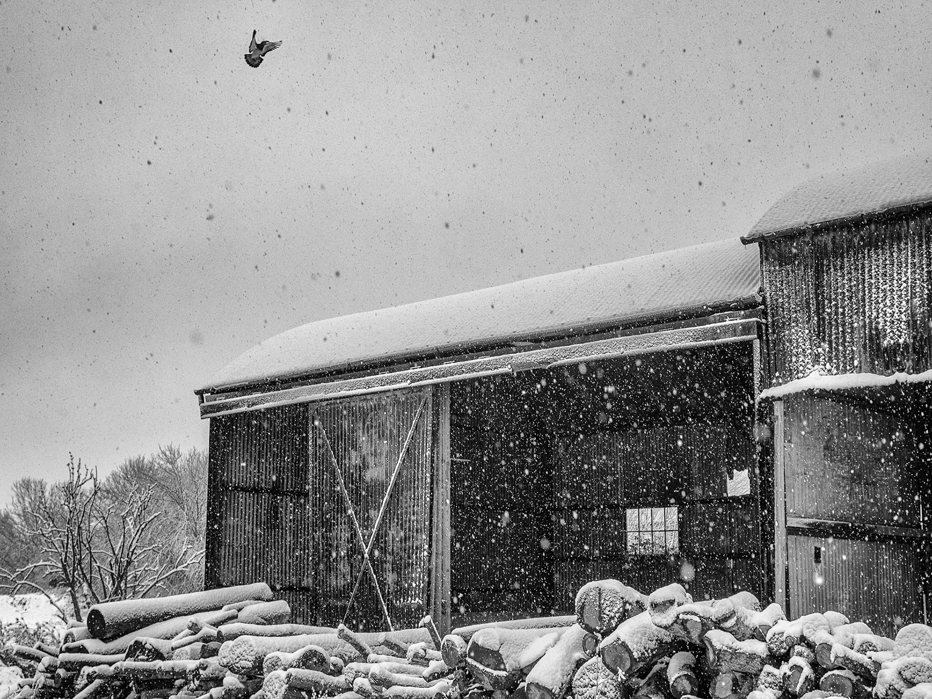 Snowy timber barn