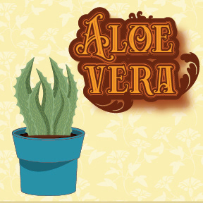 Part of my Daily Design Practice. A-Z of Flora and fauna.