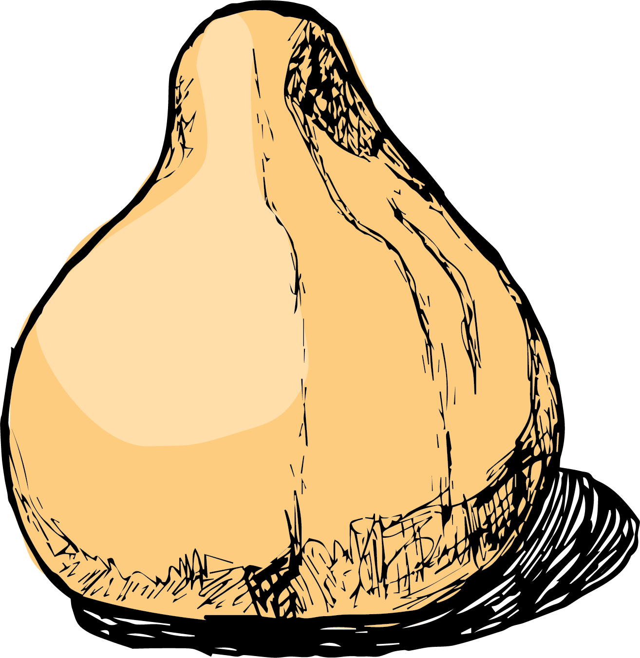 Butternut Squash