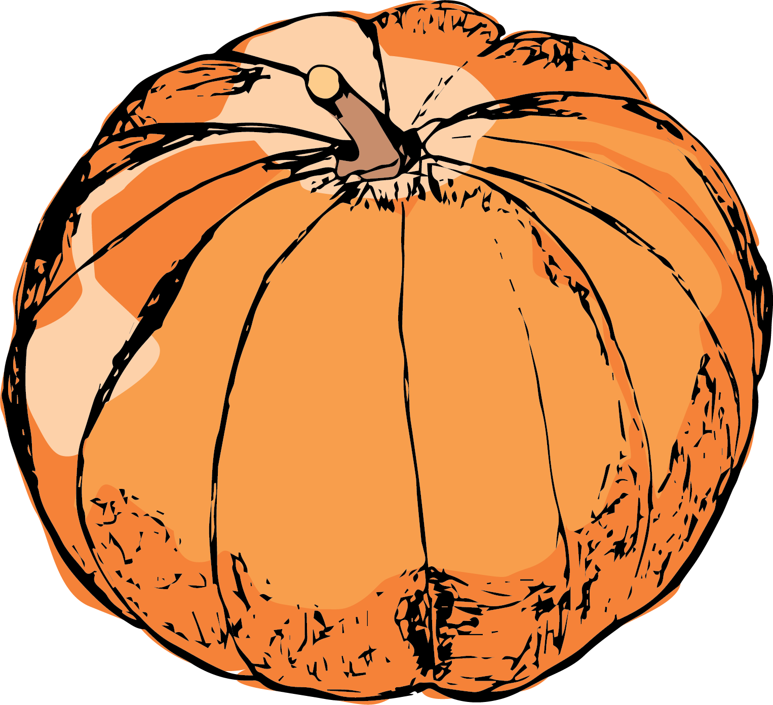 Magdlena Big Cheese Squash