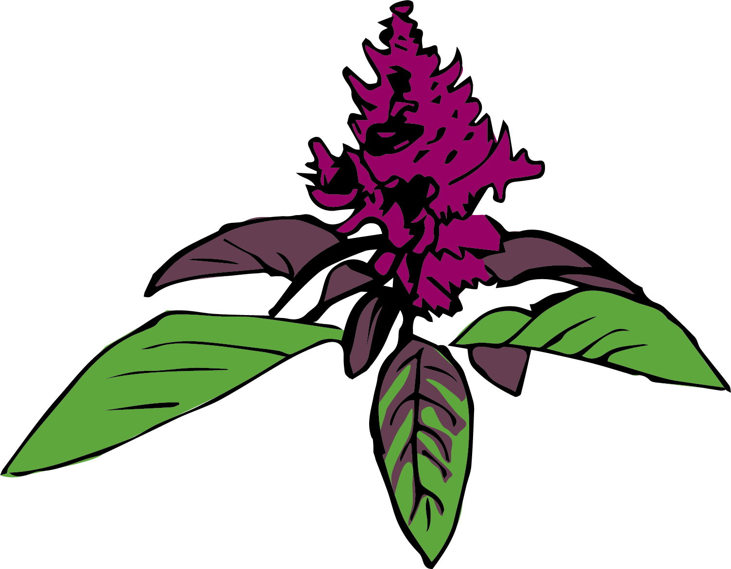 Thai Basil