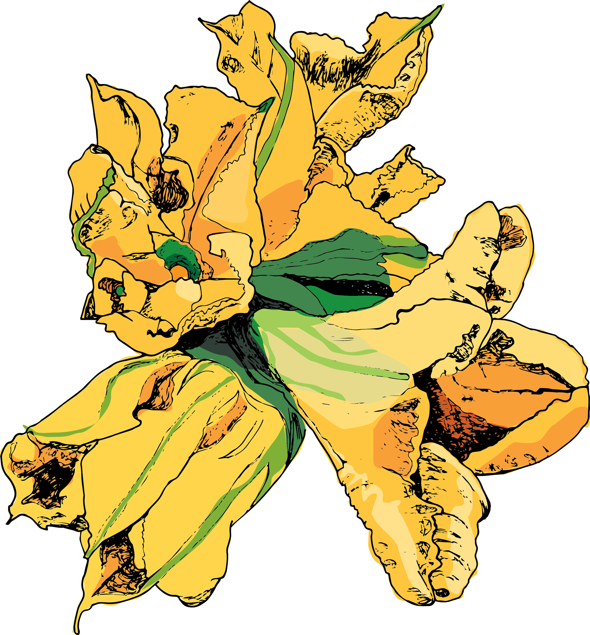 Squash Blossoms