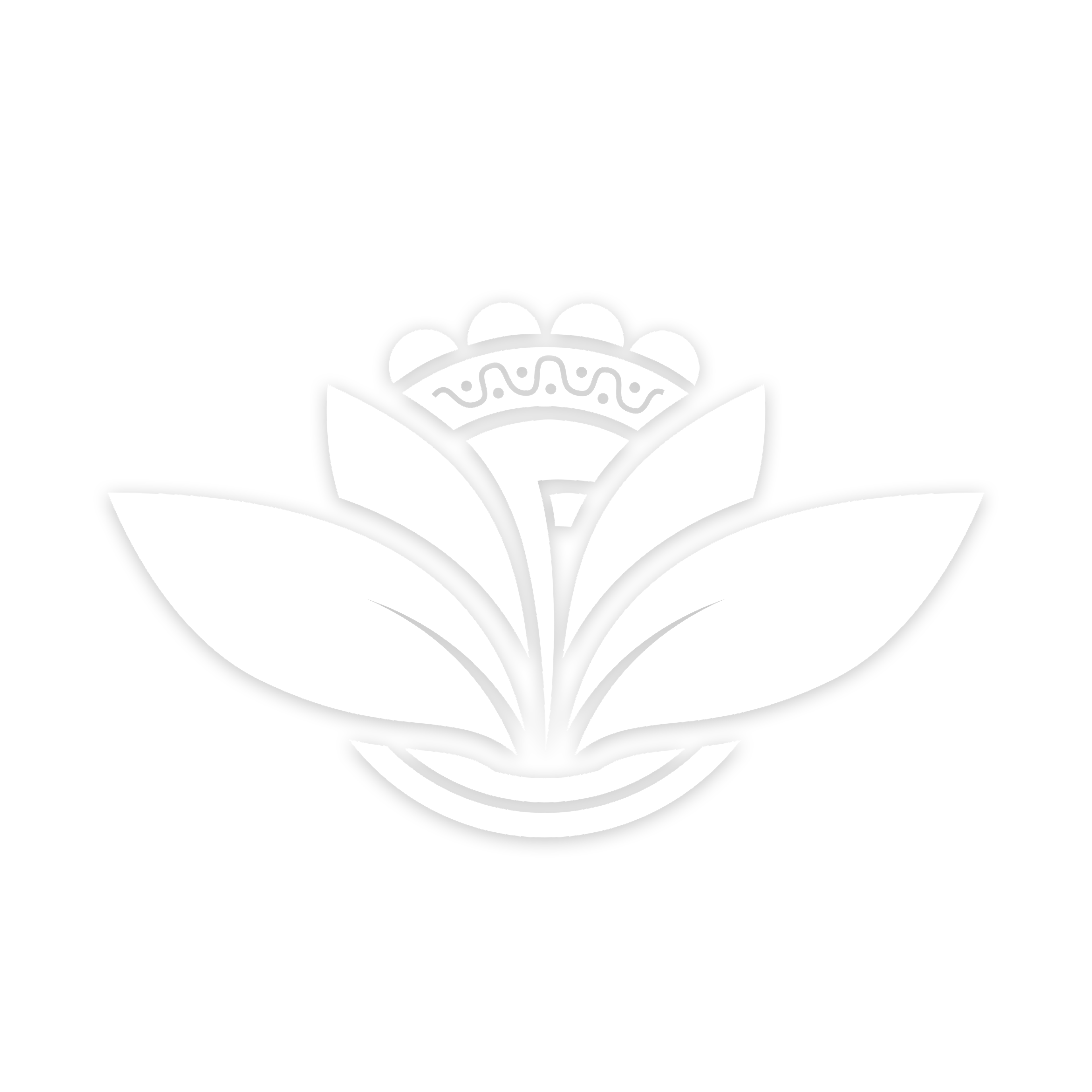 Fitonia