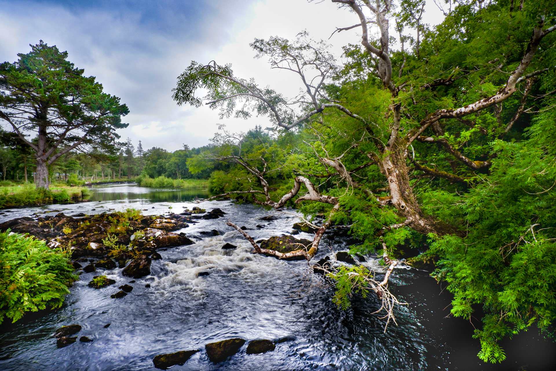 Wild Water at Black Stone's Bridge