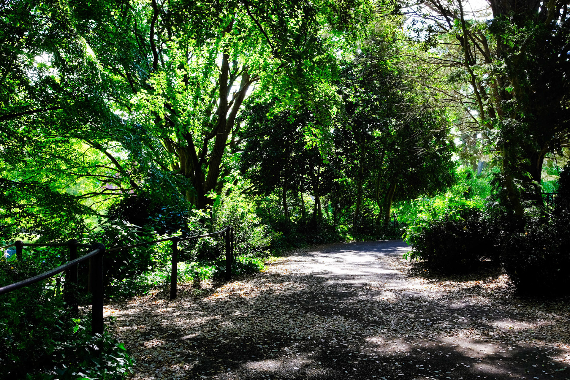 Upper People's Gardens