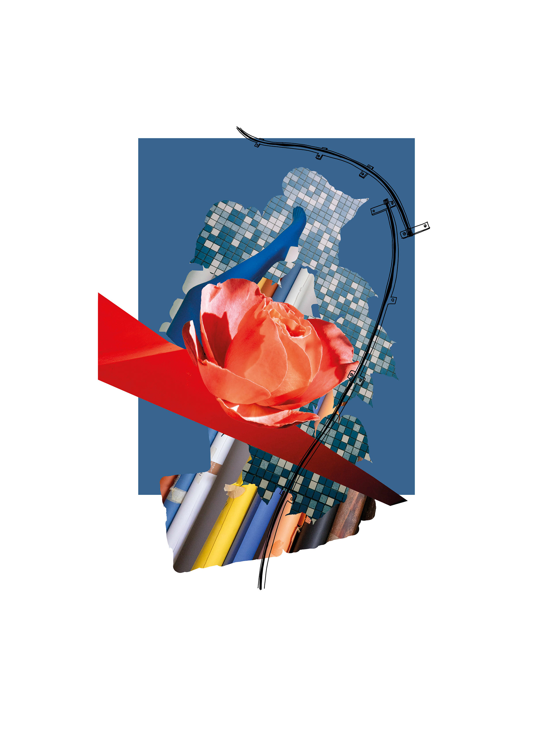 Lupin #01