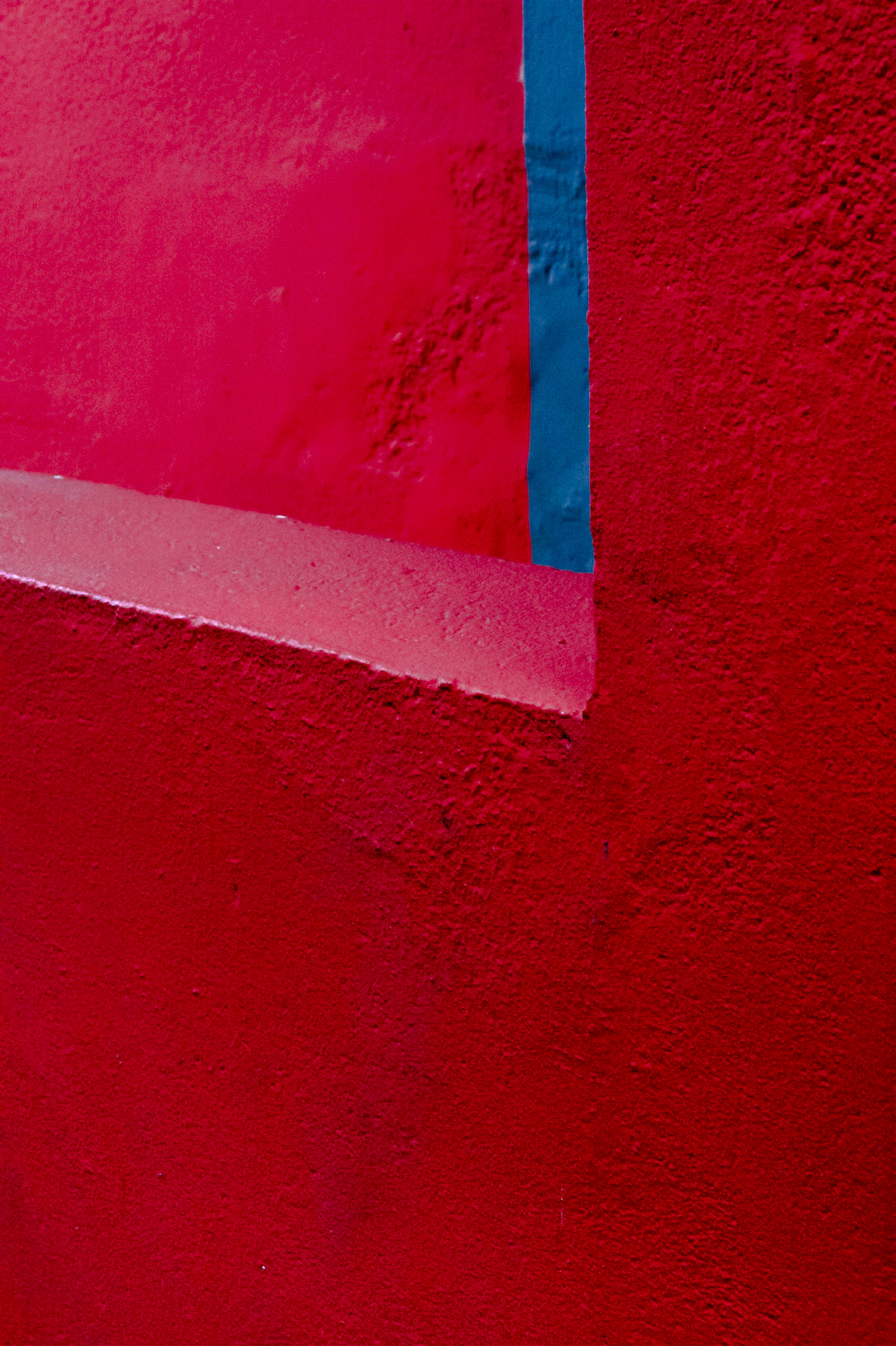 Composition Rouge et Rose
