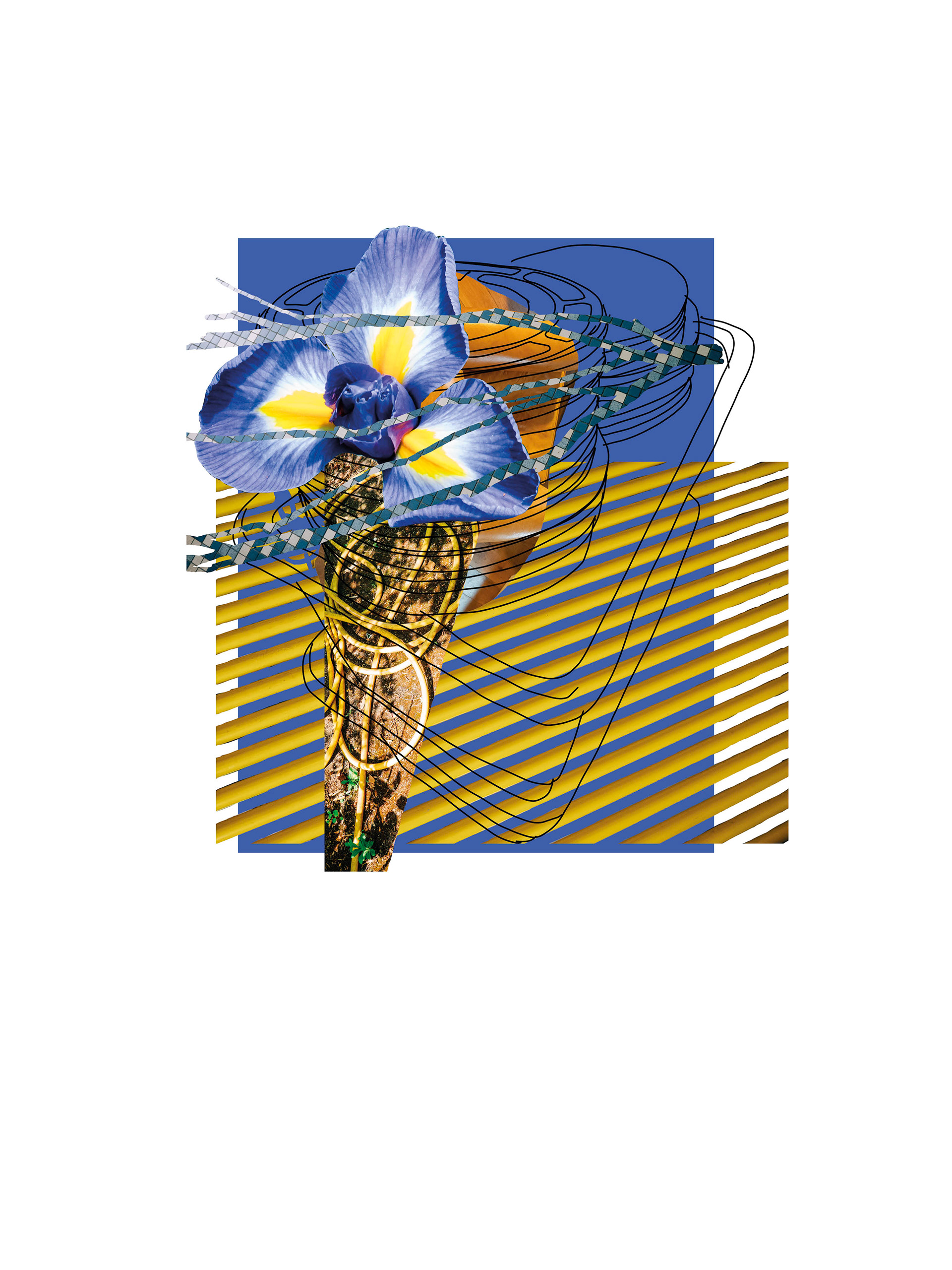 Chromablue #01