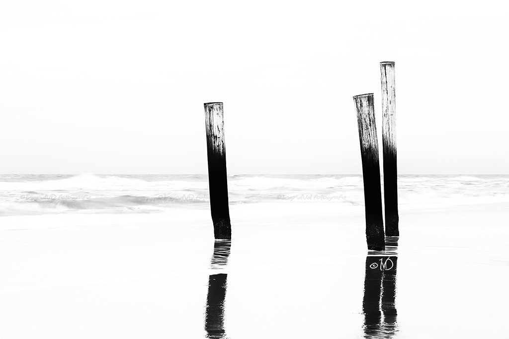 Petten - Palendorp