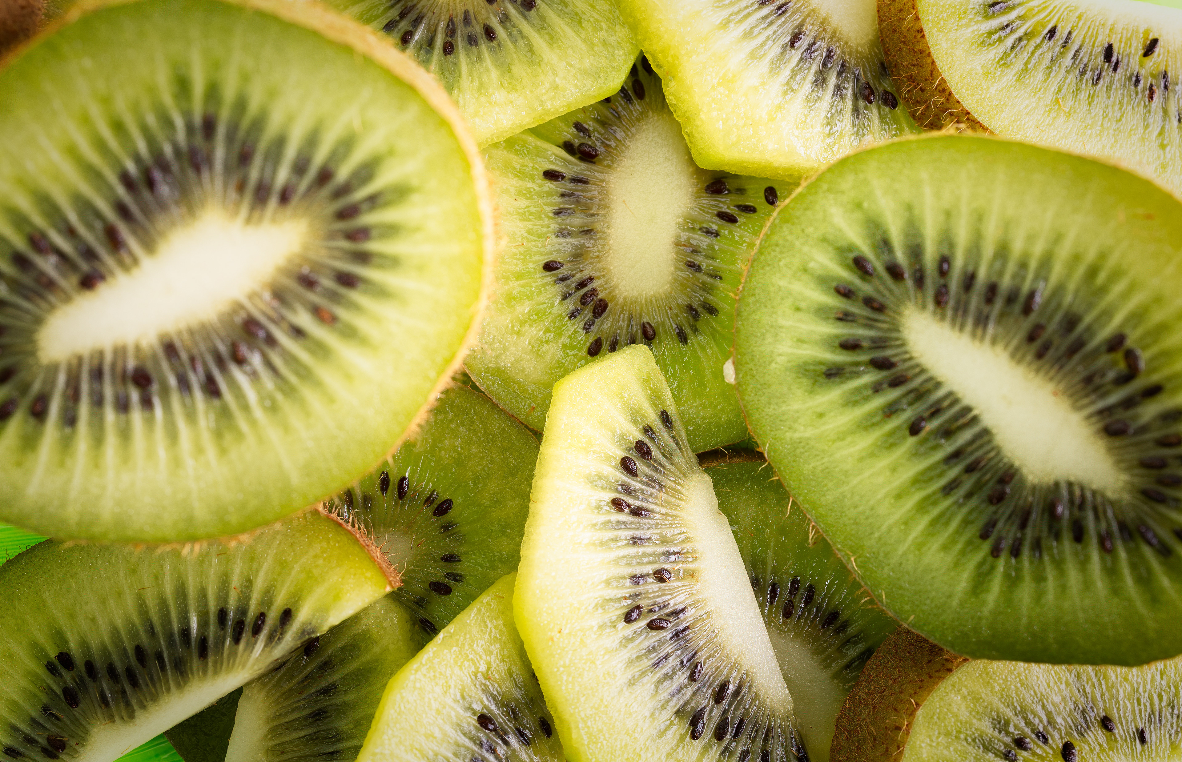 Kiwi Photograph