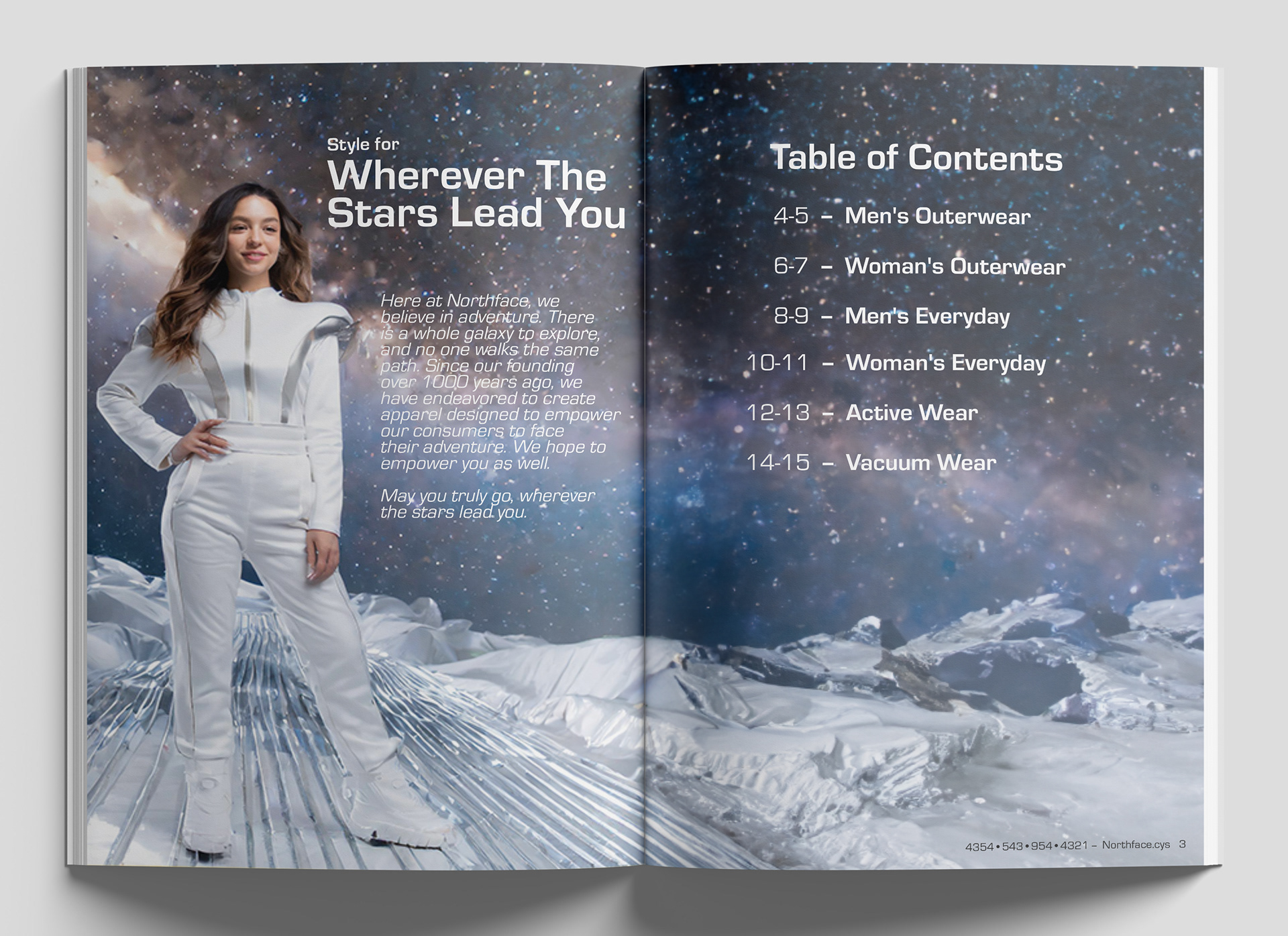 Pages 2-3