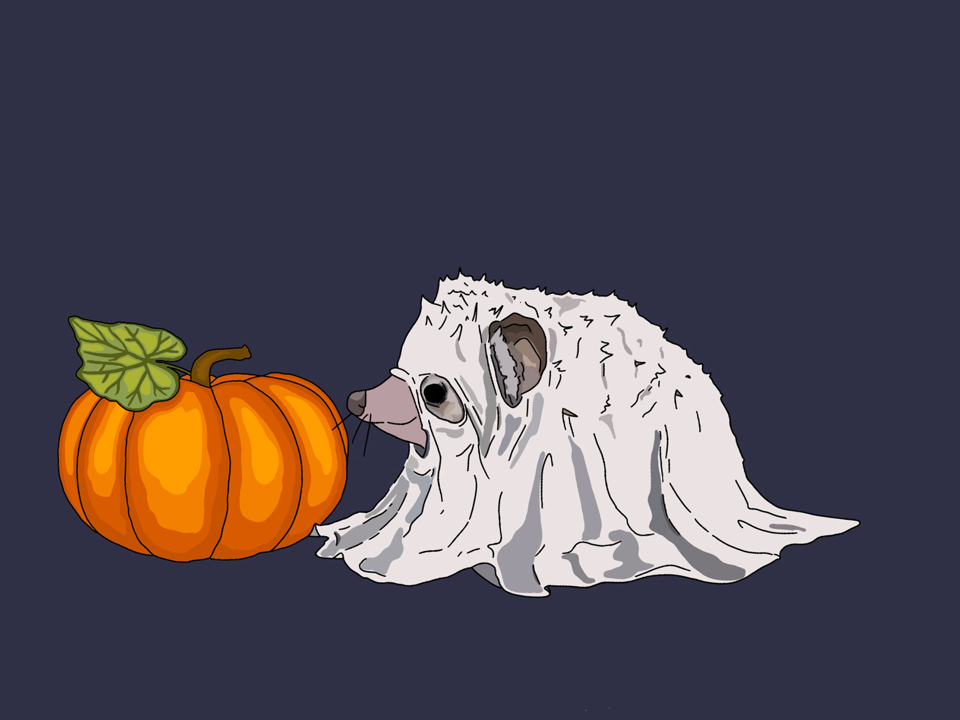 ghost hedgehog. 2021.