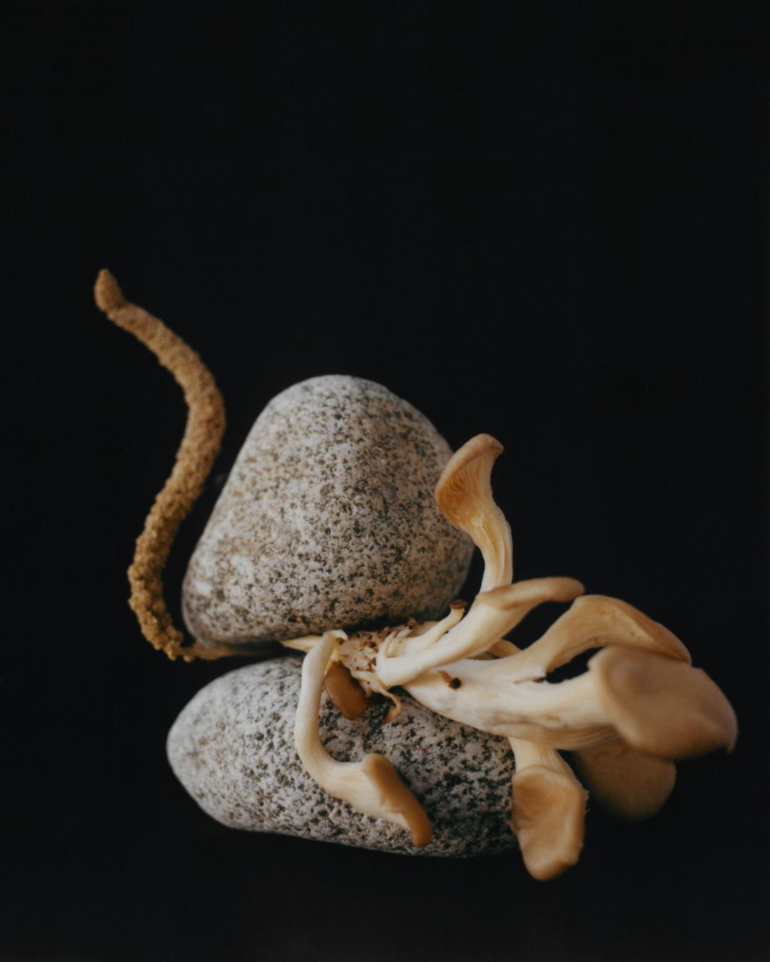 StonesFlowers