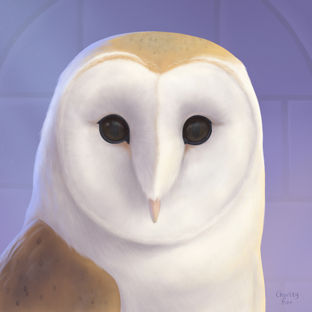 Barn Owl Familiar