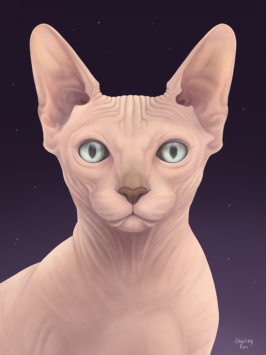 The Sphynx