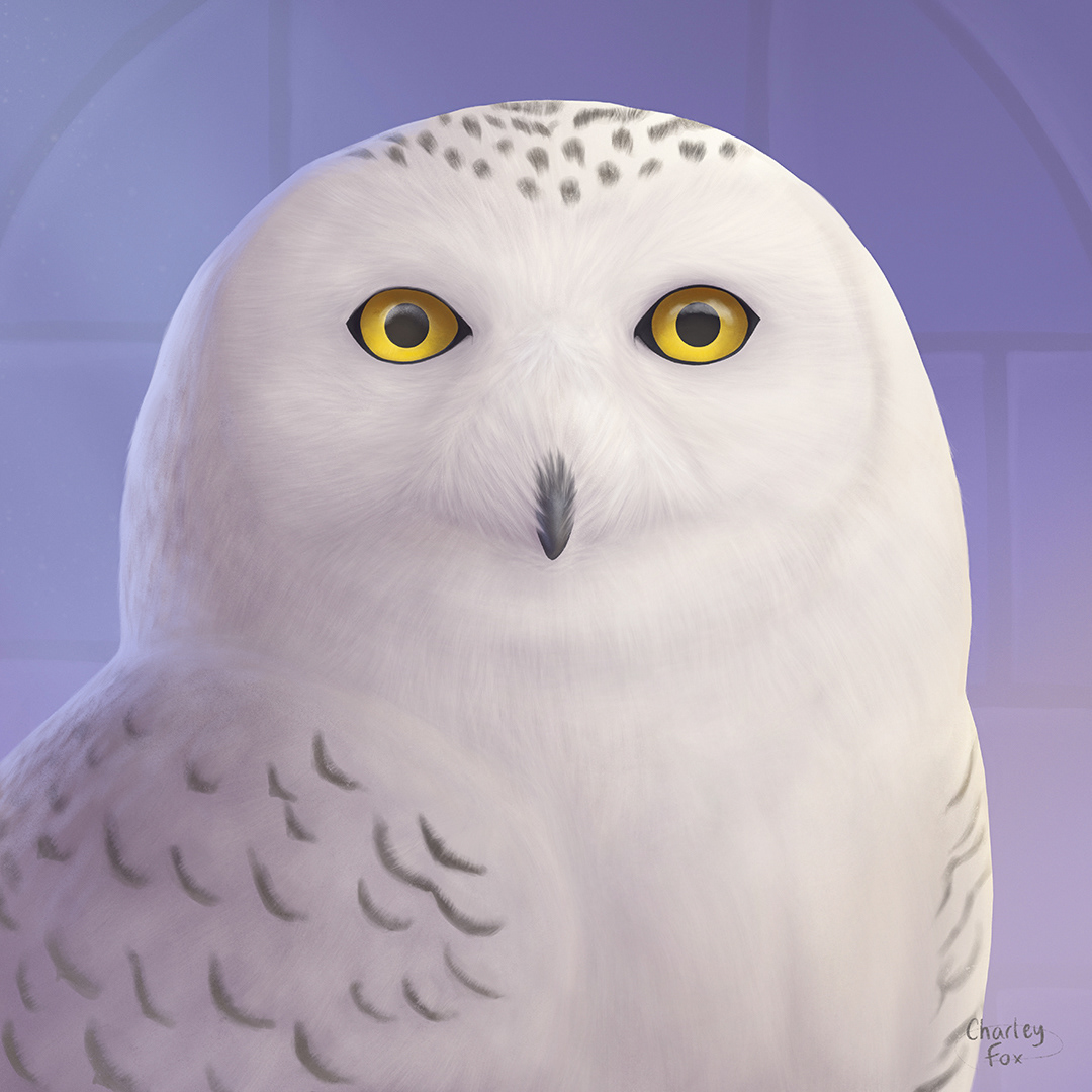 Snowy Owl Familiar