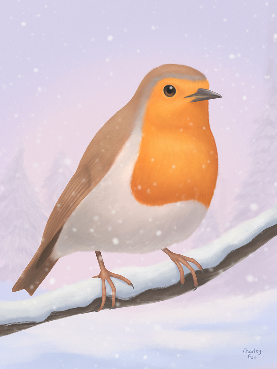 Snowy Branch