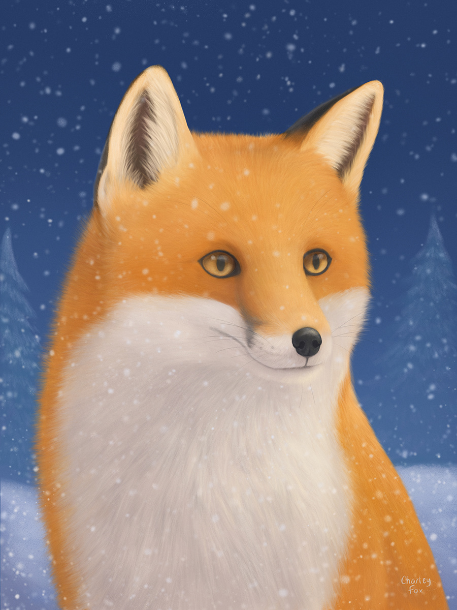 Winter Fox