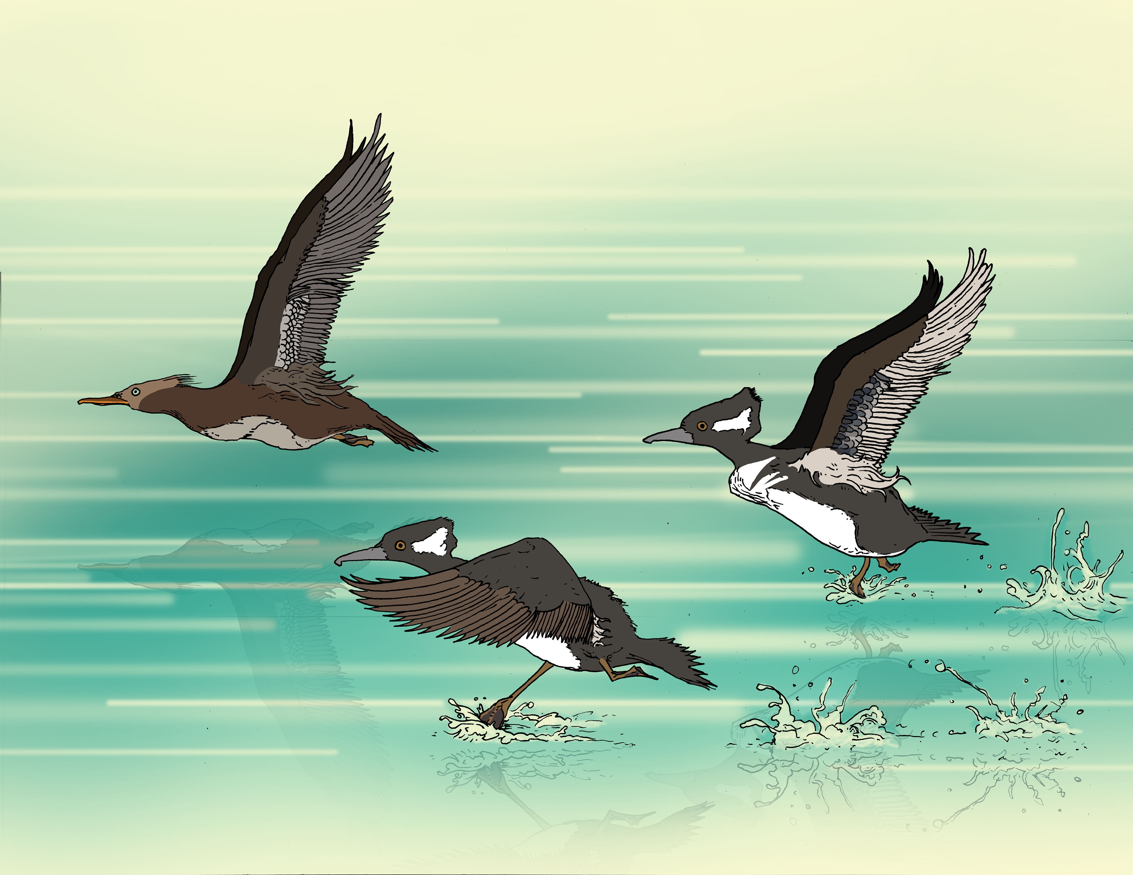 The Move - Inked by hand, digital color and compositing