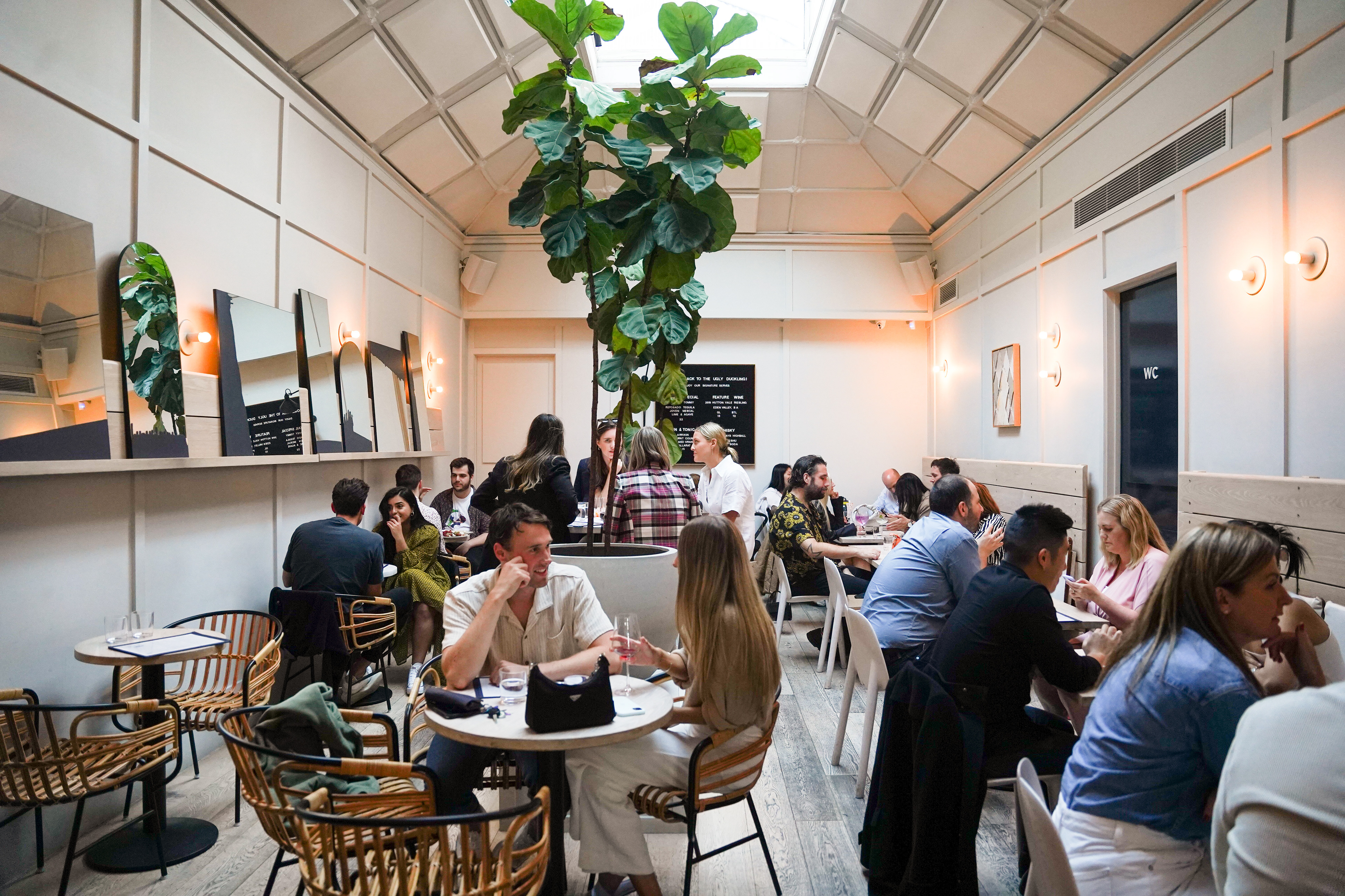 Ugly Duckling- Richmond