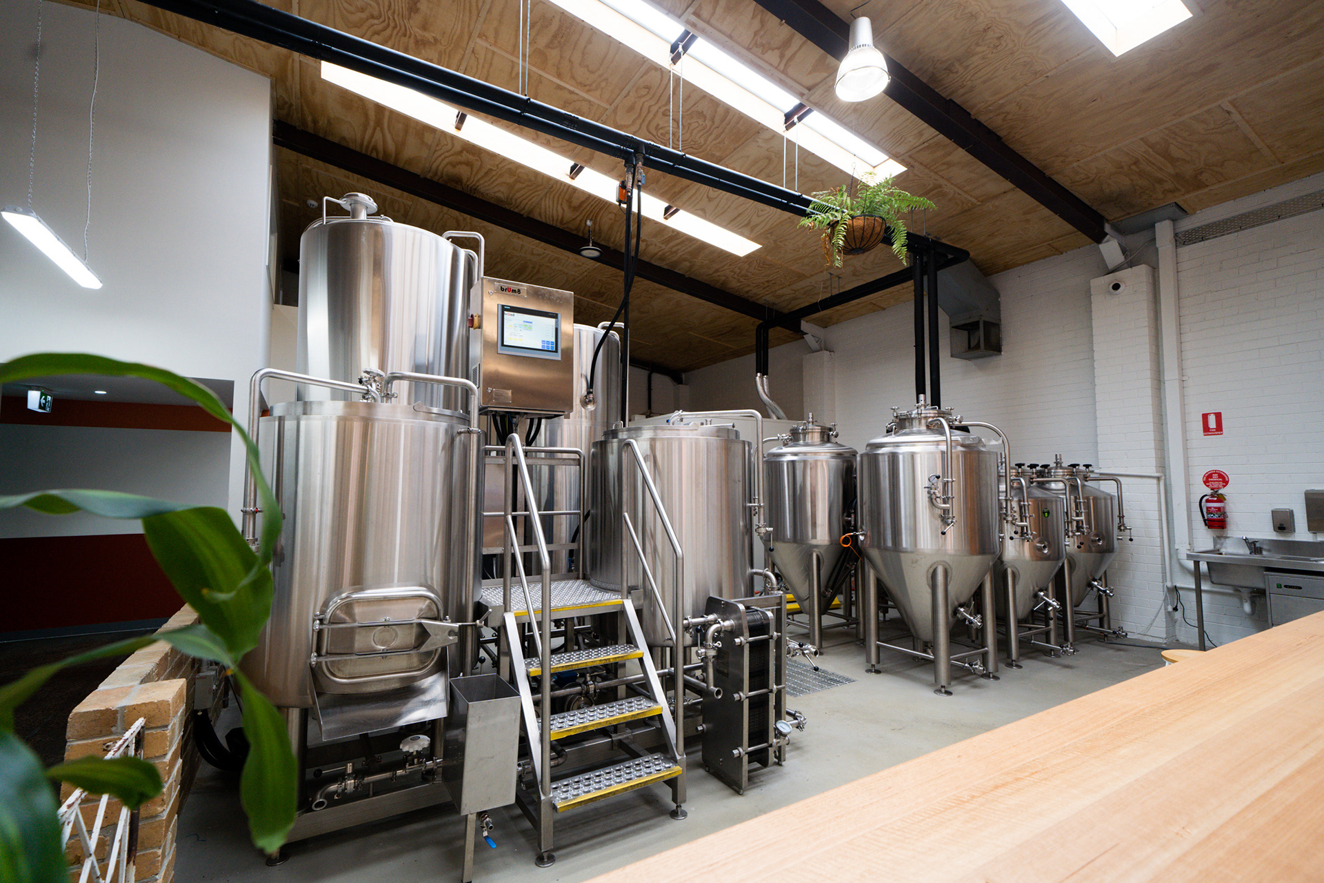 Kaiju Brewery- Hughsdale