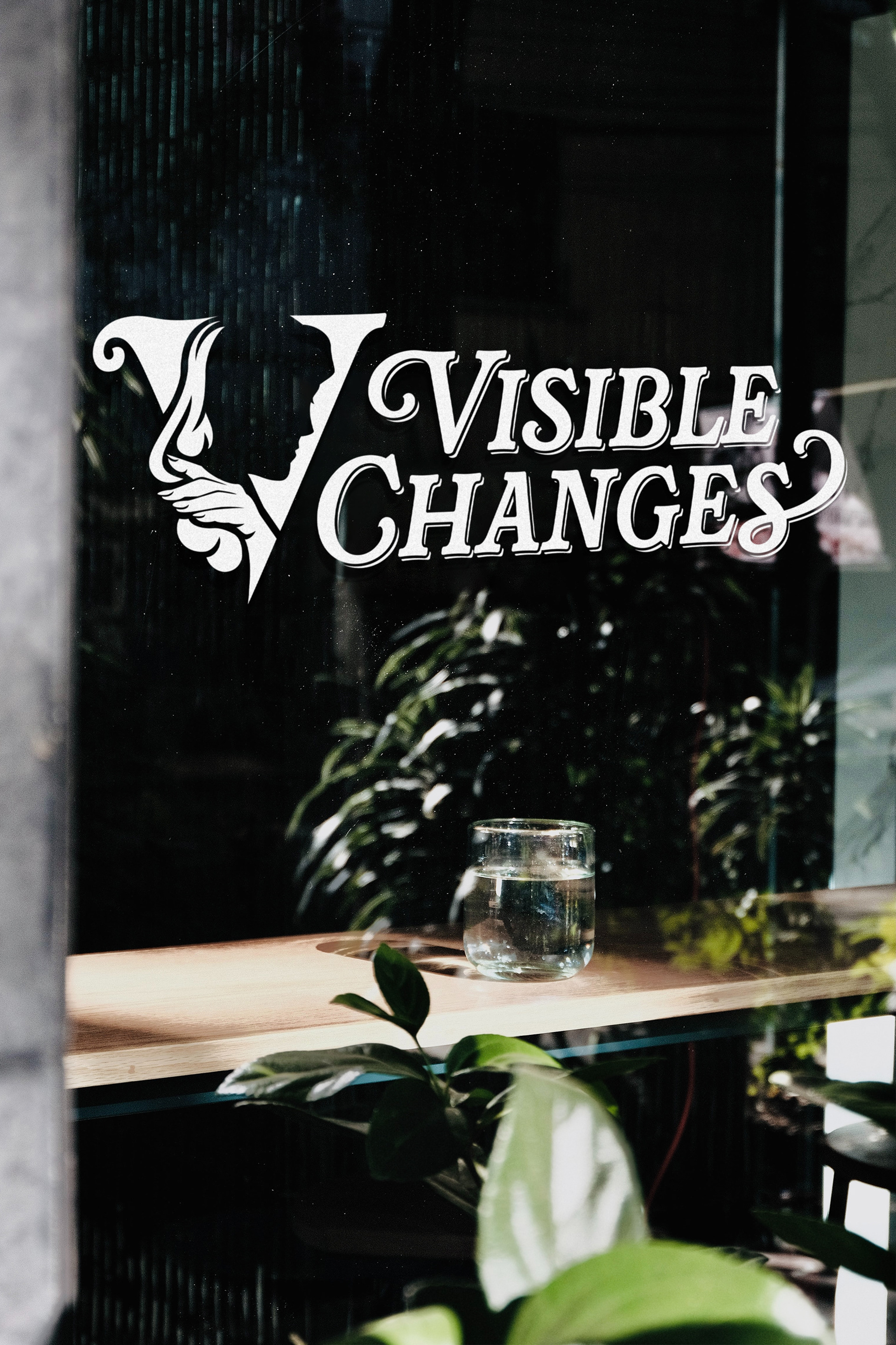 Visible Changes Letterform Logo on a Storefront