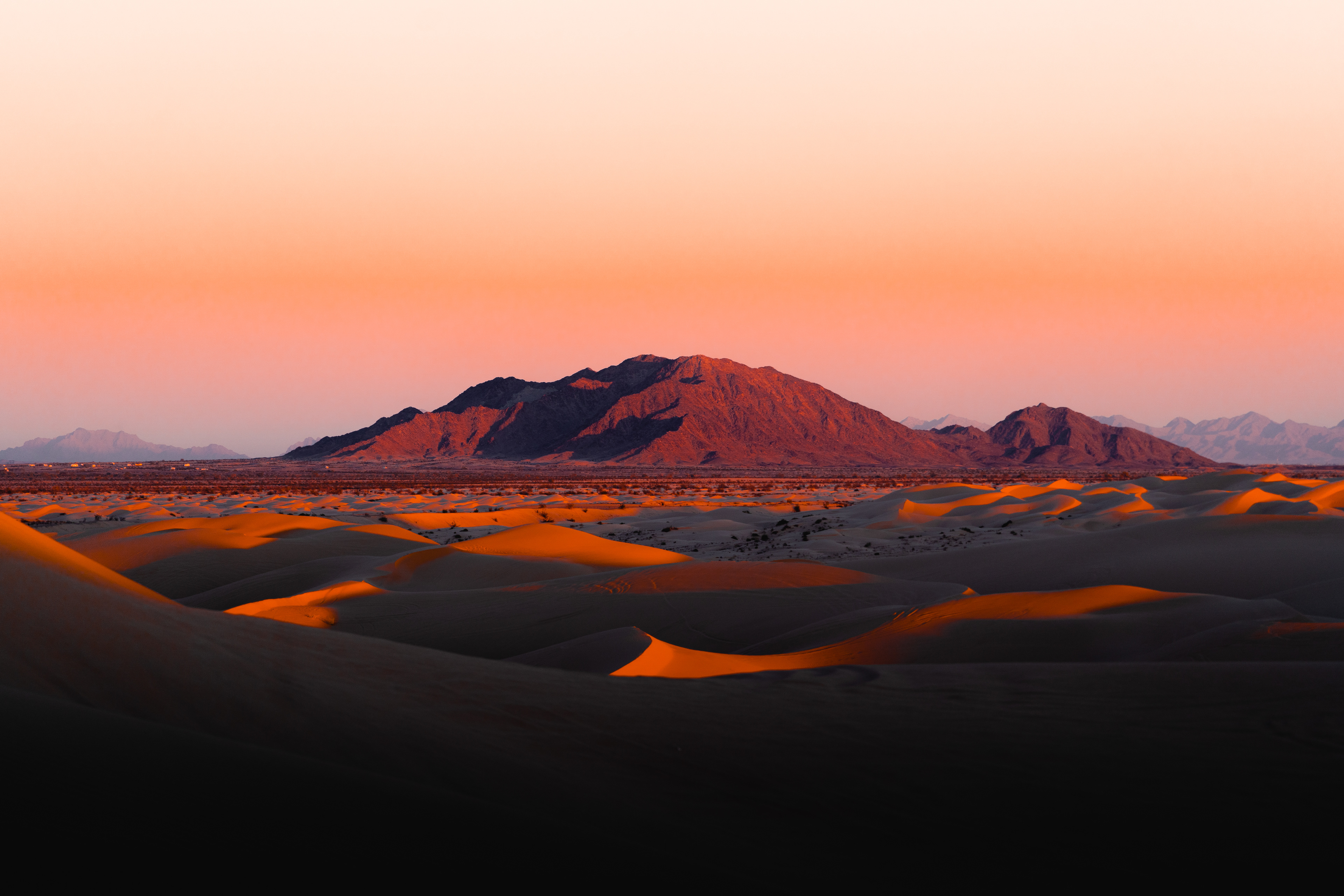 Arid