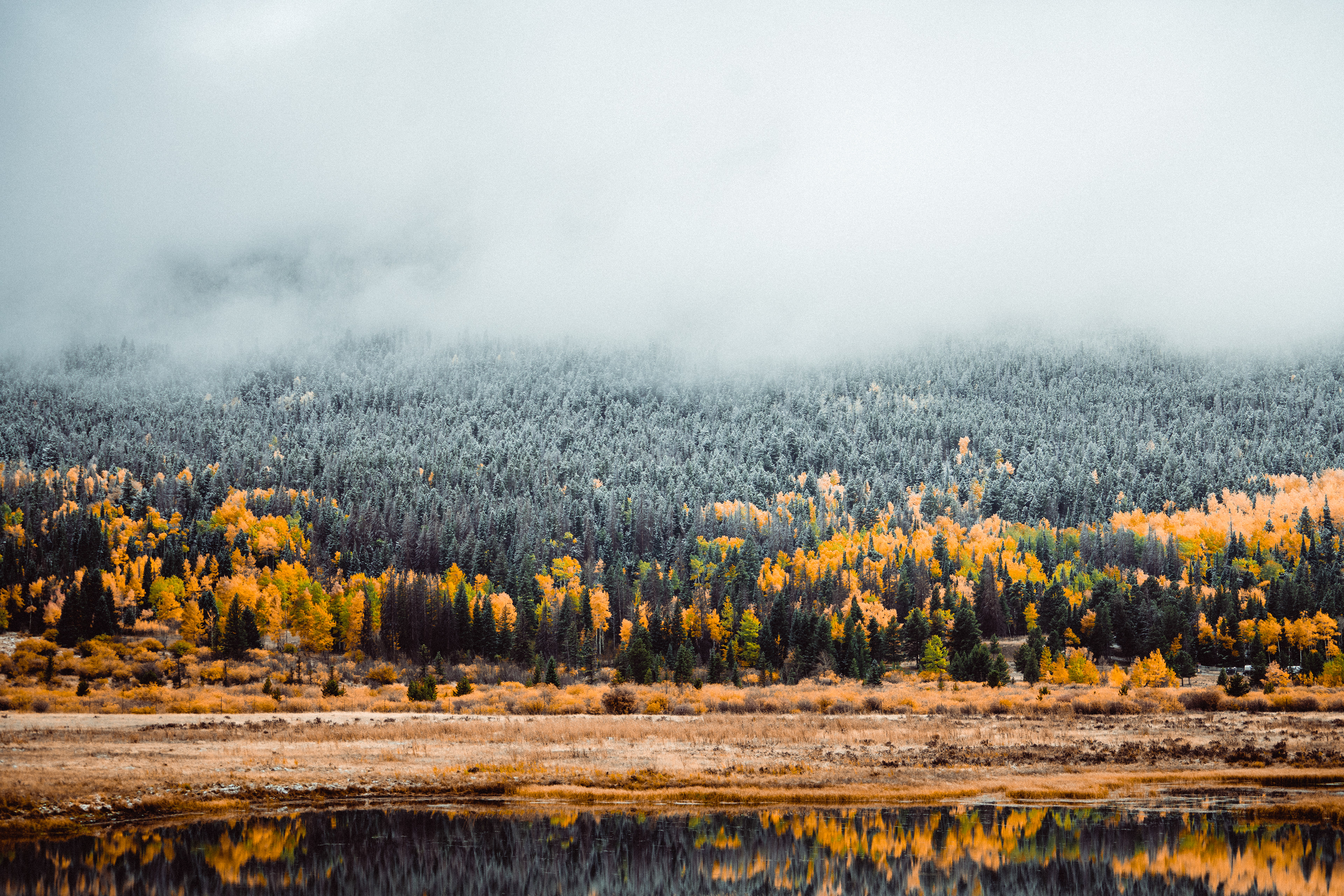 Seasons Change
