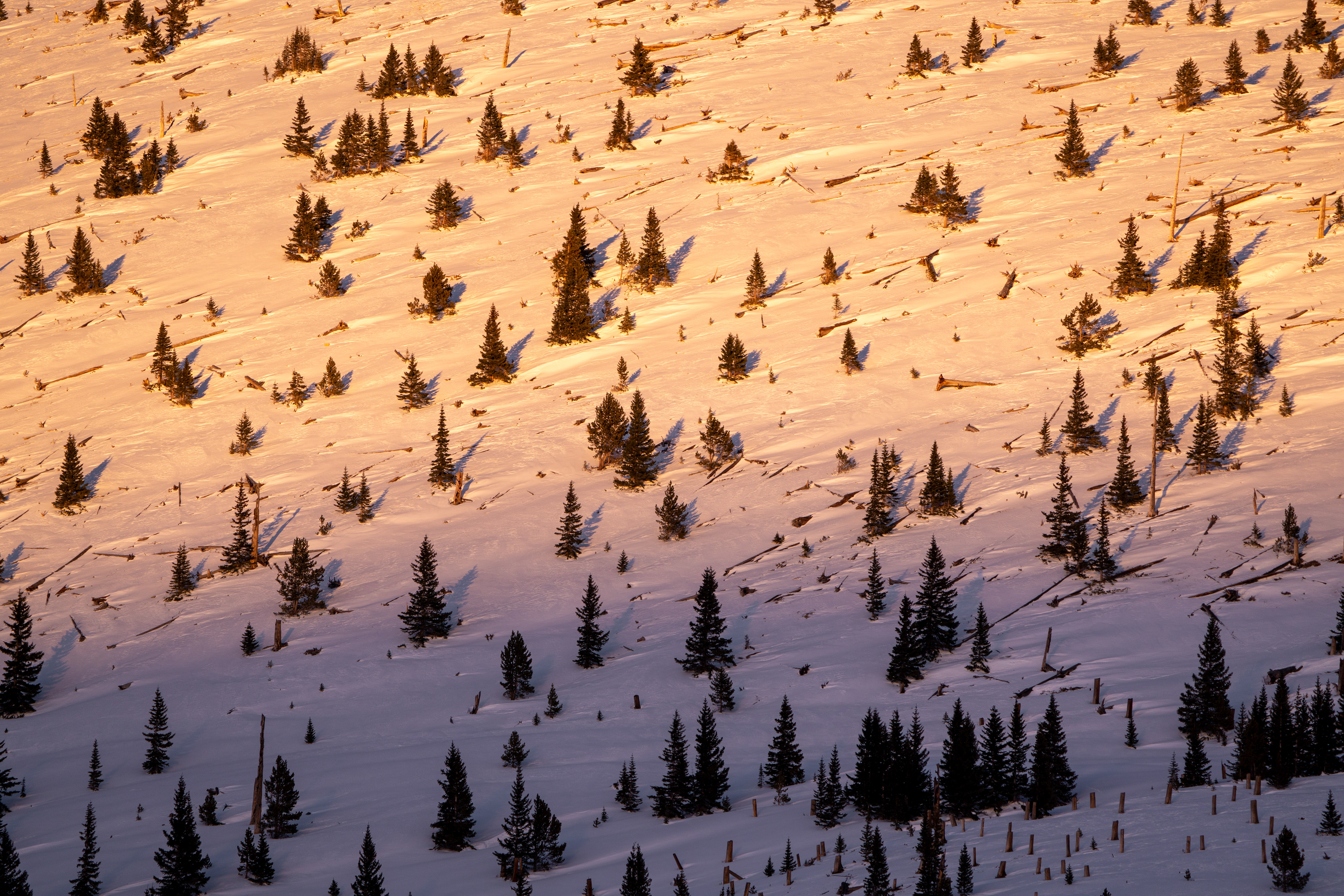 Slope's Last Light