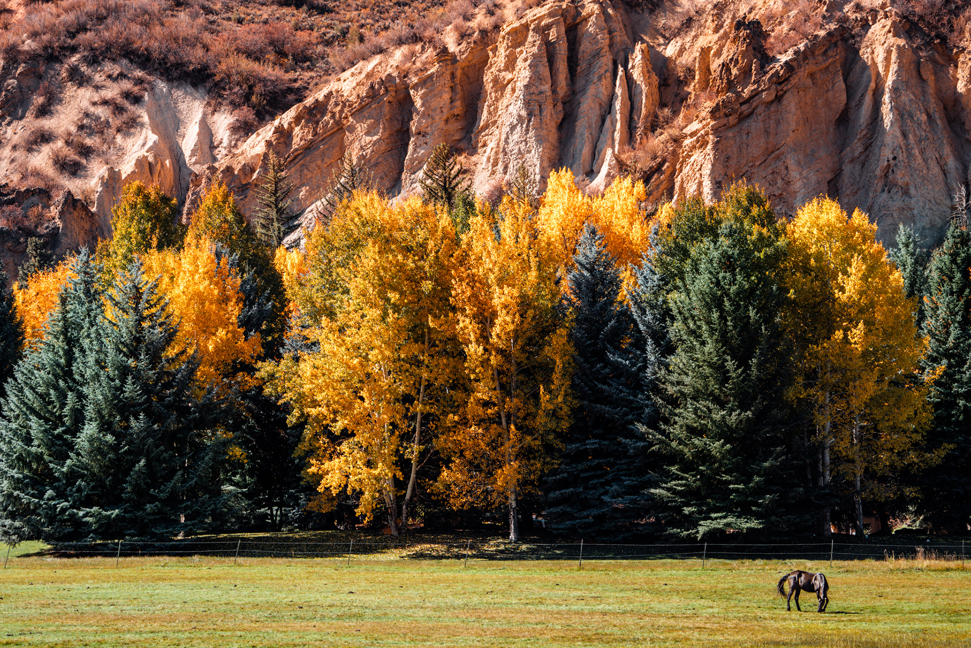 Pasture