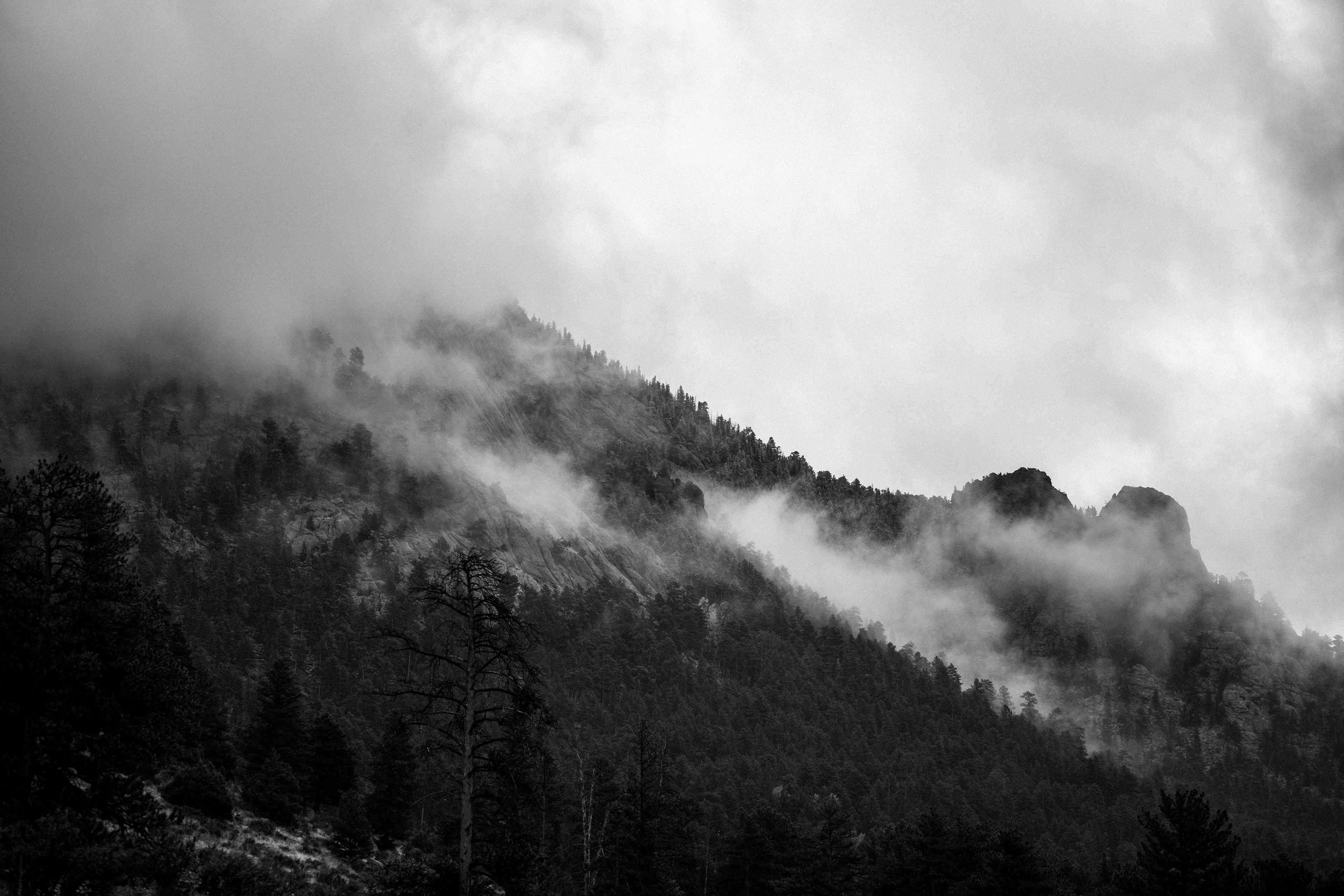 As The Fog Rolls Over