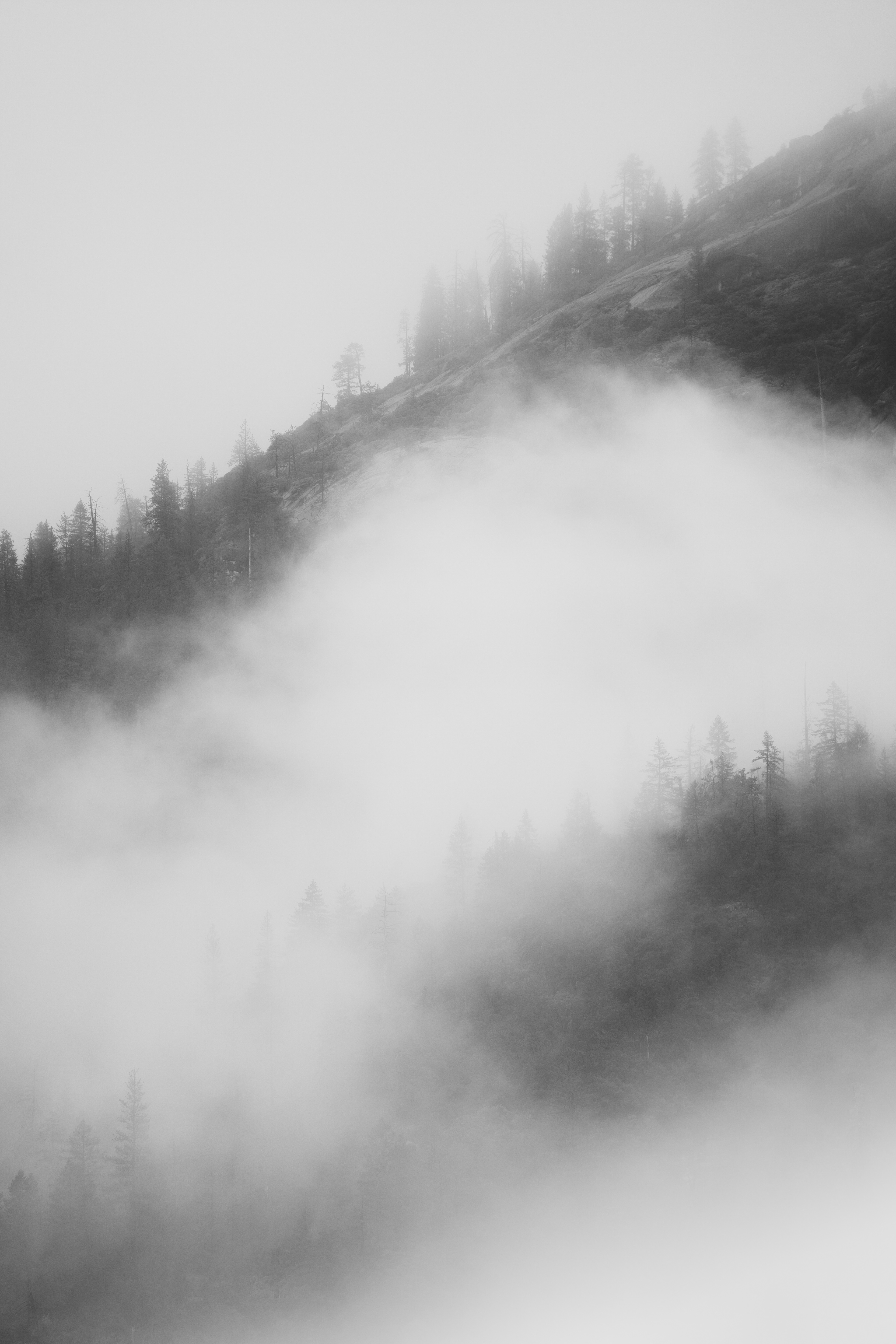 Egress IV