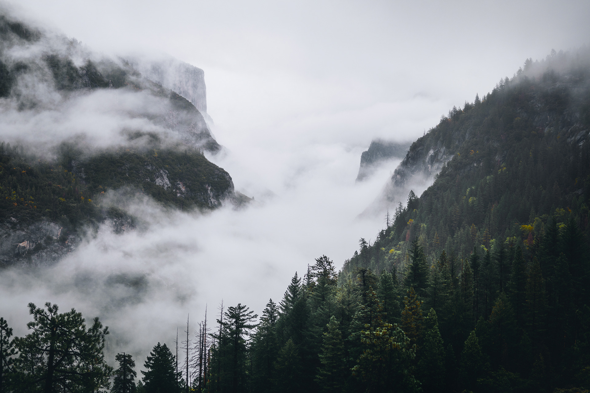 Shrouded