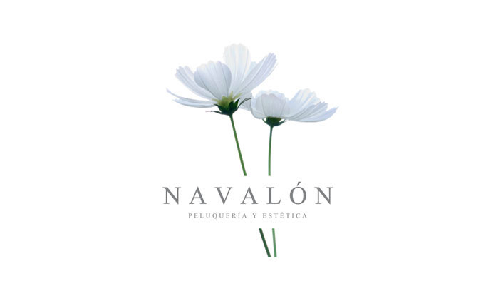 Logo Navalón