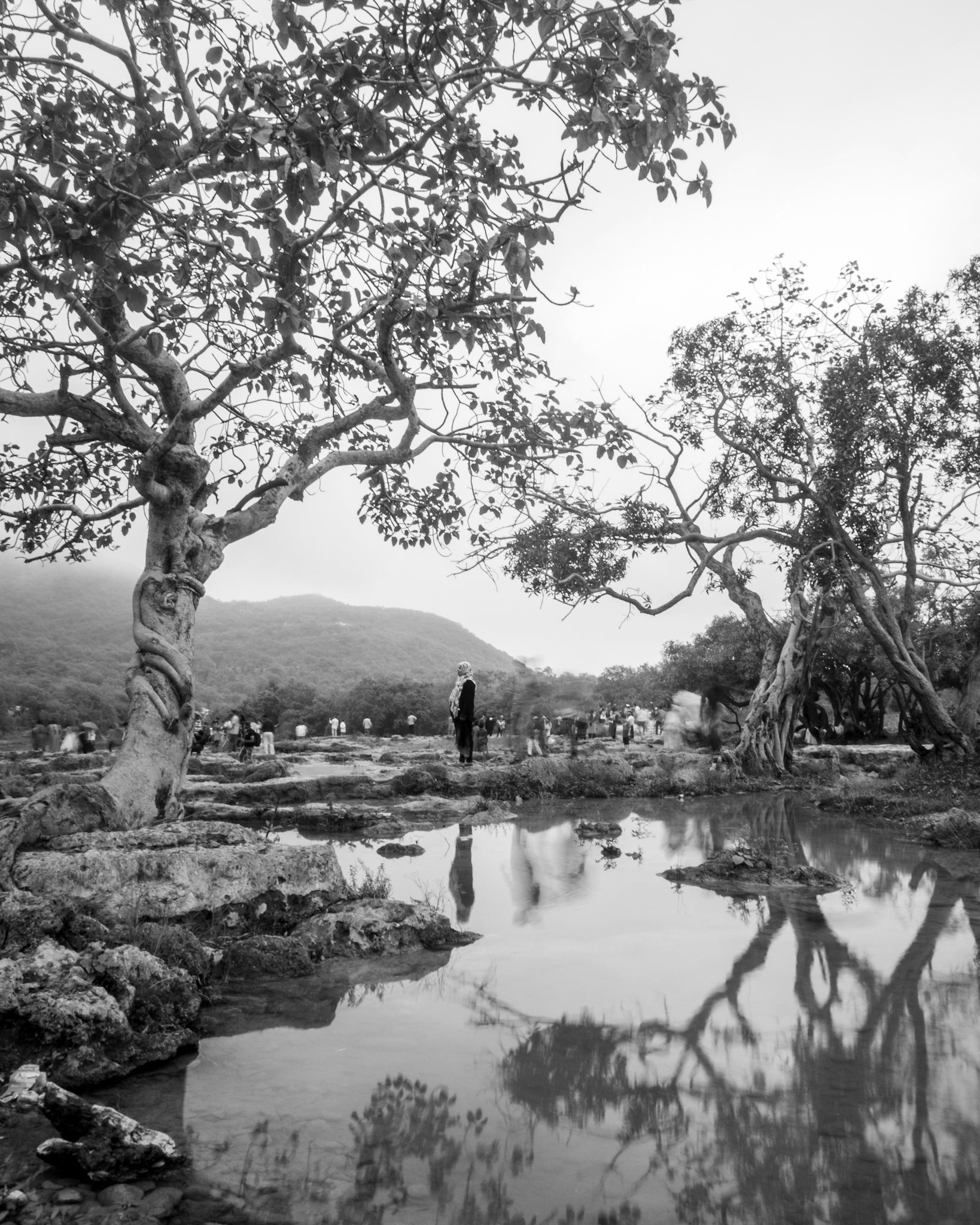 Englufed - Salalah, Oman 2019