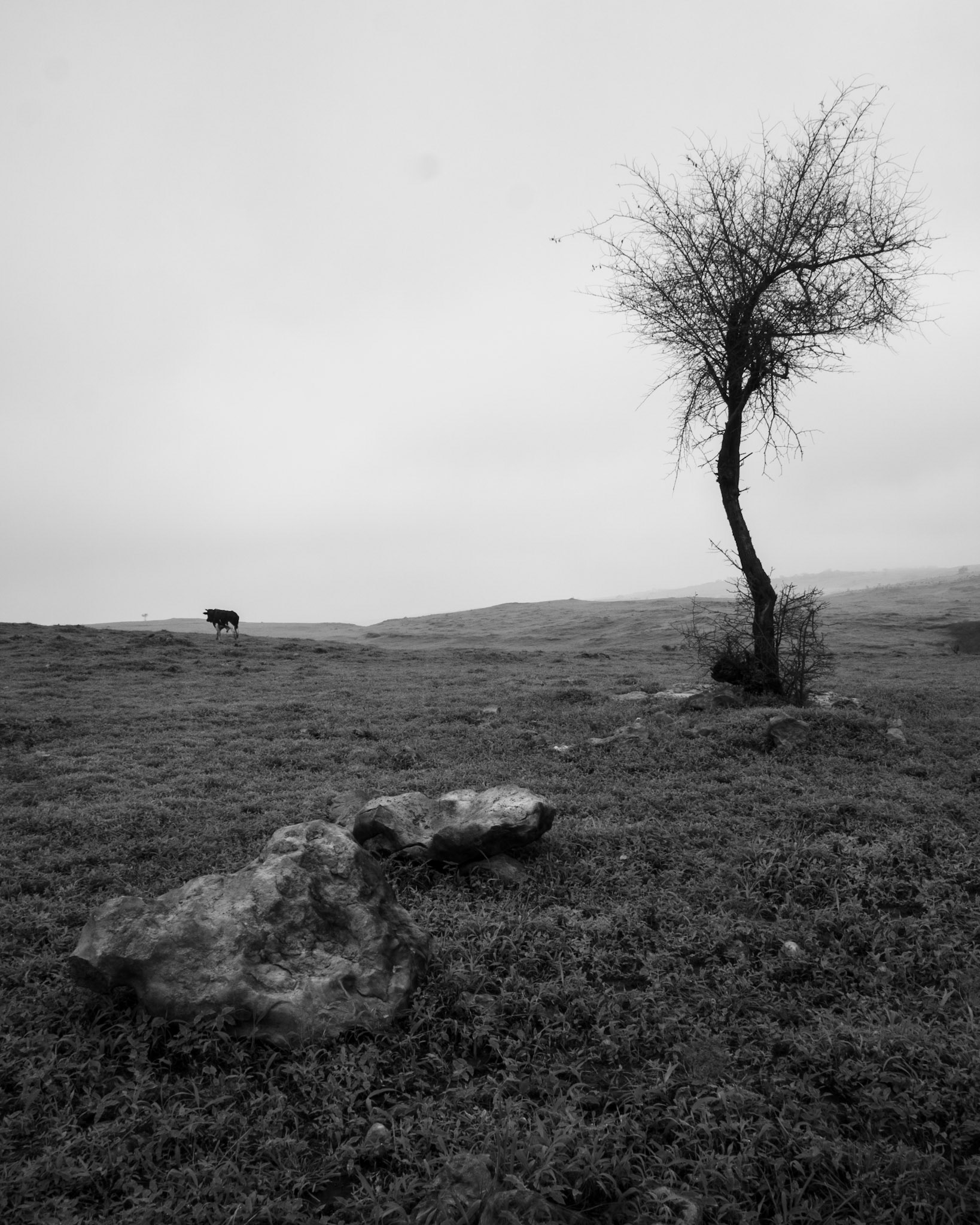 Journy with the void - Salalah, Oman 2019