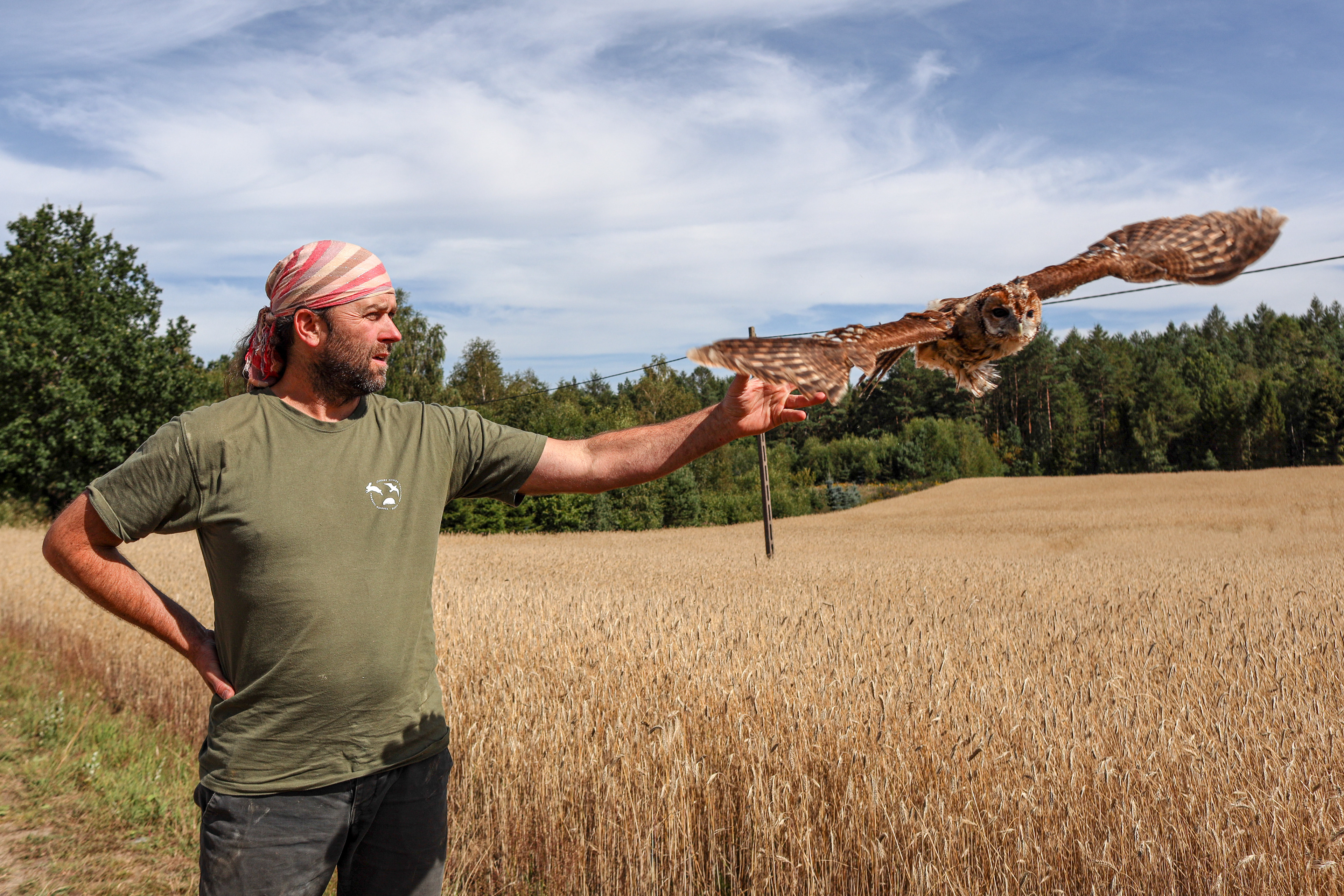 A rehabilitator releases an owl back into the wild after recovery at the “Ostoja” wildlife rehabilitation center.
