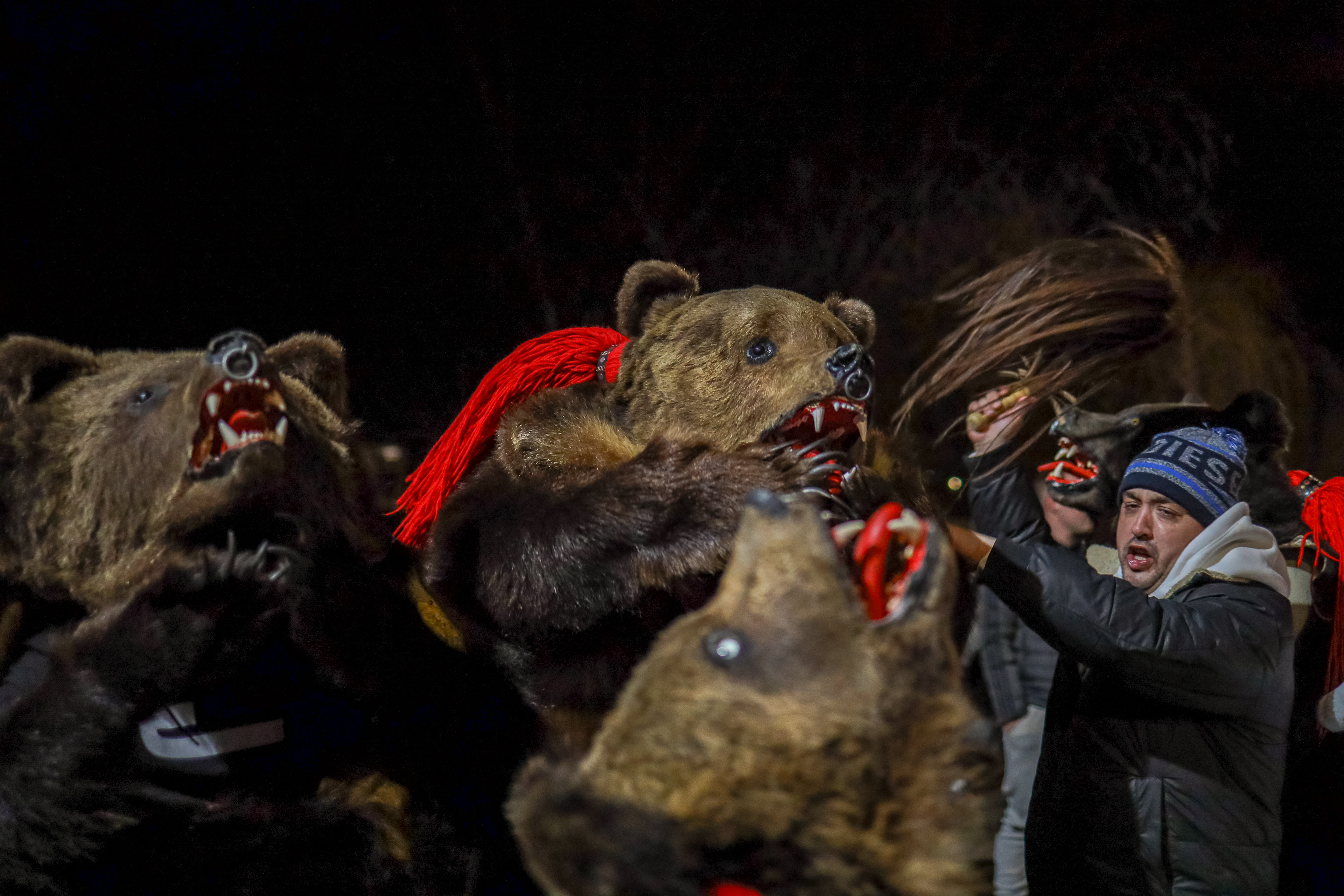 Dancing Bears Festival in Comănești, Romania.