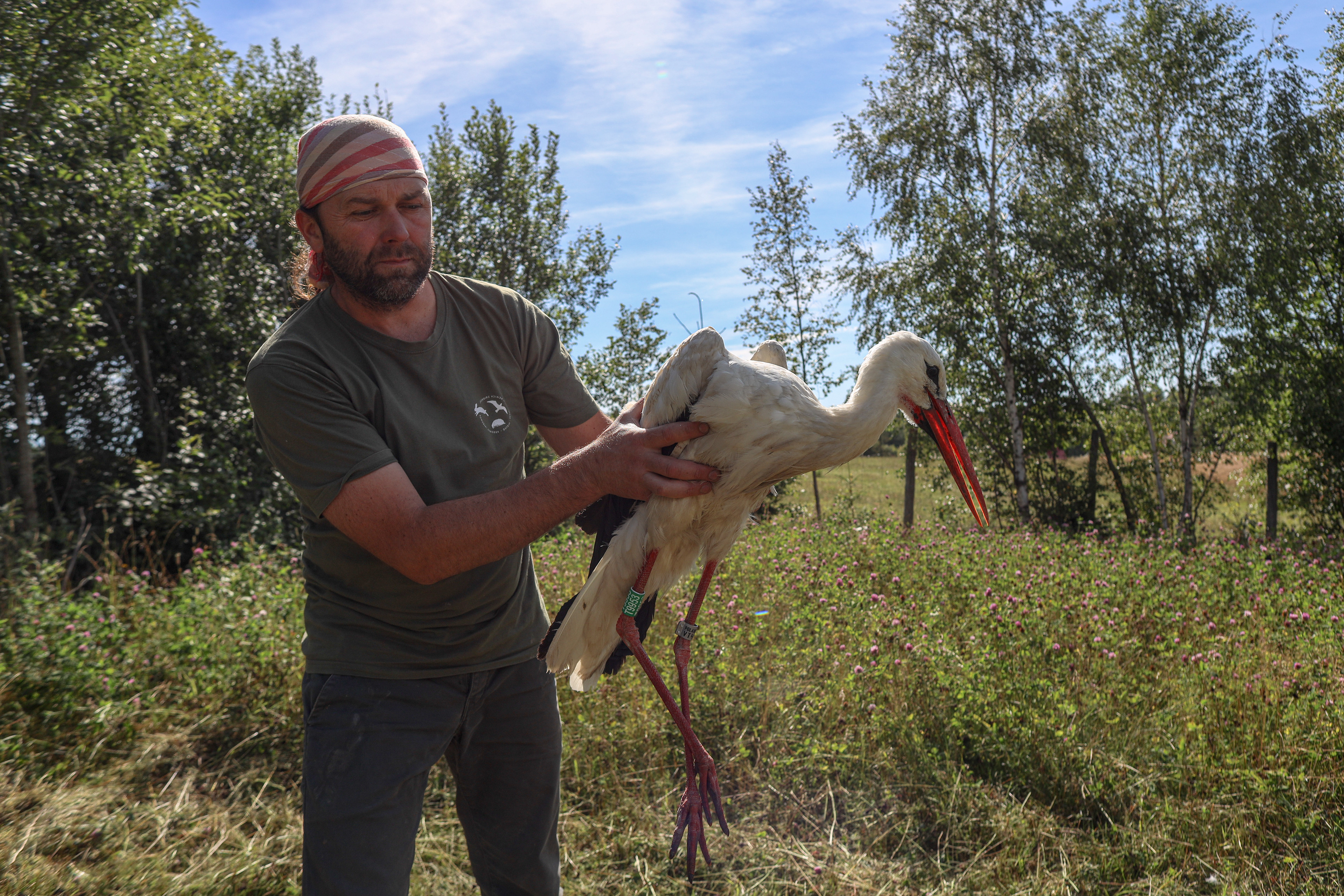 A stork is handled during rehabilitation at the “Ostoja” wildlife center.